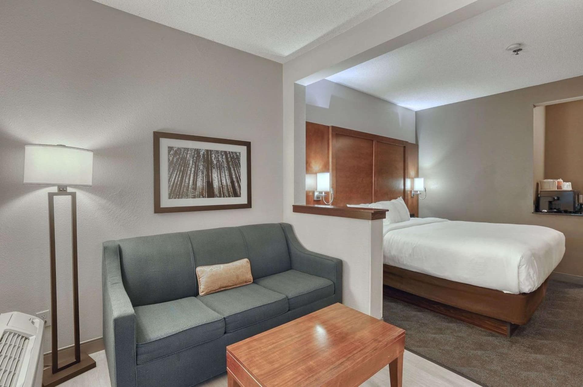 Comfort Suites Appleton Airport gallery photo in Appleton, WI — image 59