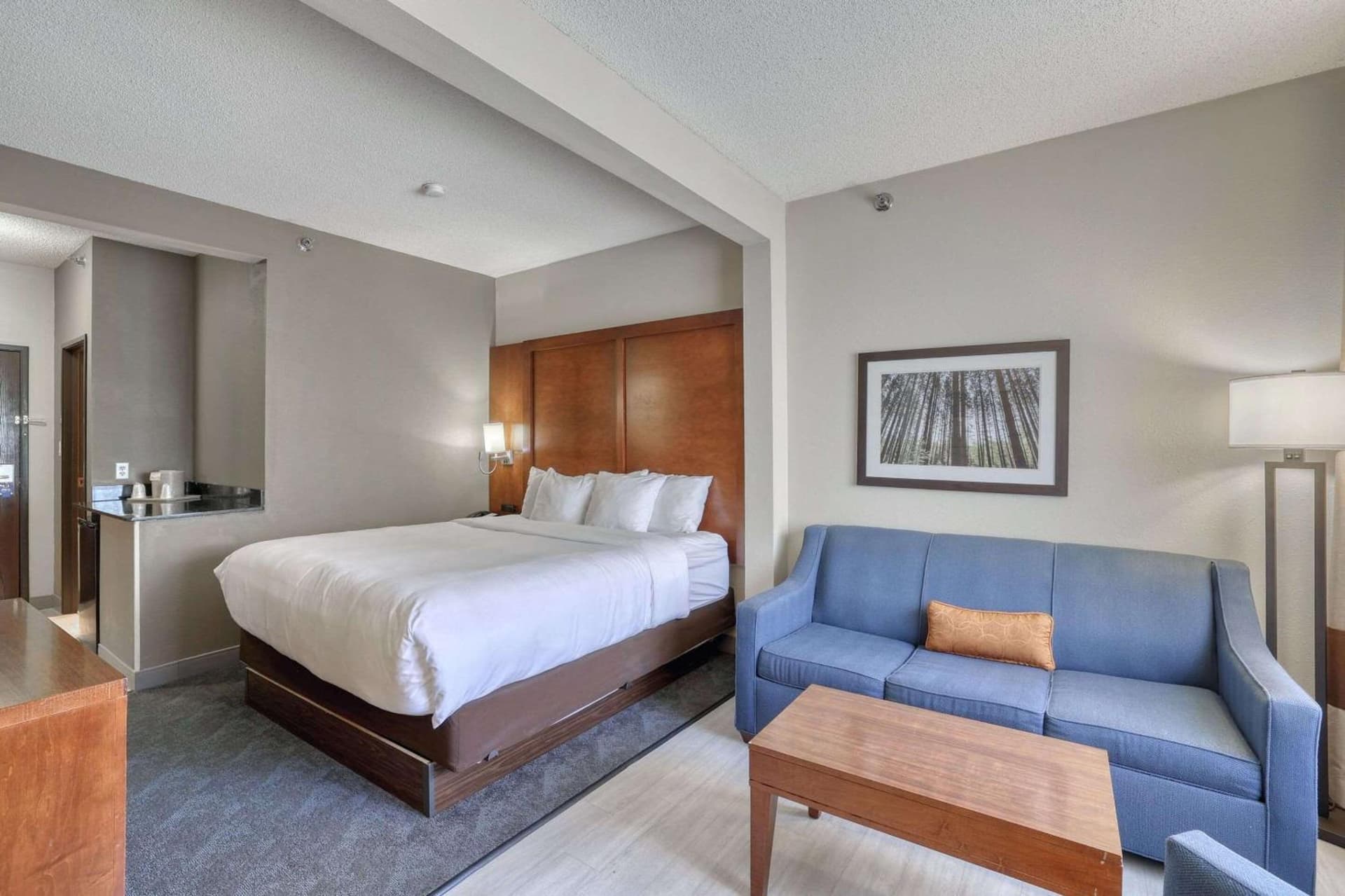 Comfort Suites Appleton Airport gallery photo in Appleton, WI — image 94