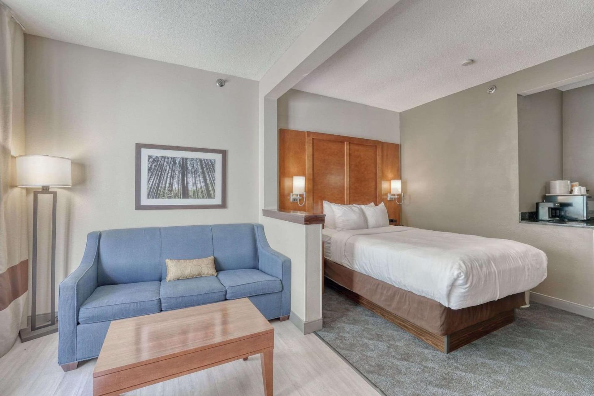 Comfort Suites Appleton Airport gallery photo in Appleton, WI — image 91