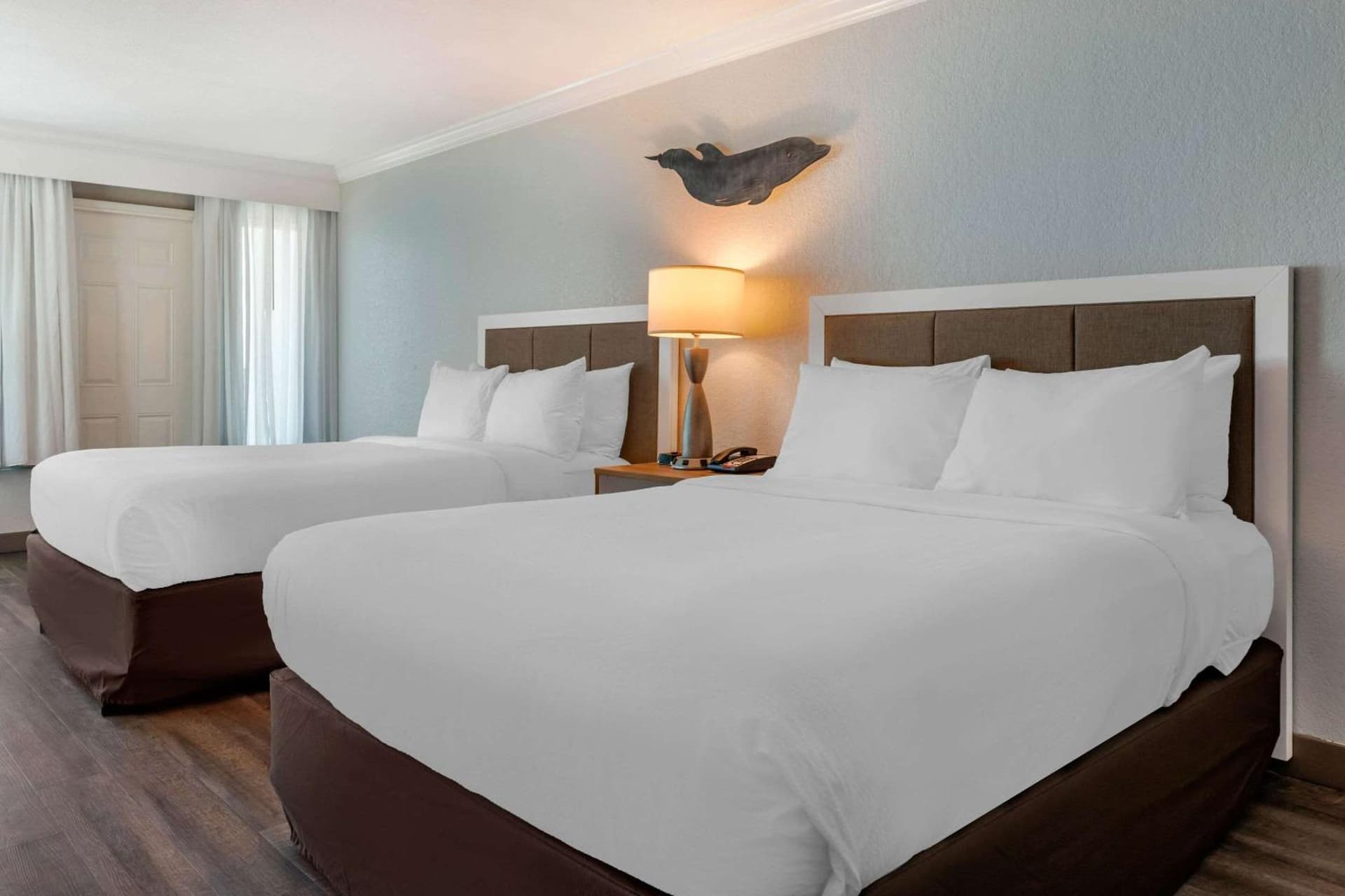 Dolphin Sands Clearwater Beach, an Ascend Collection Hotel gallery photo in Clearwater Beach, FL — image 30