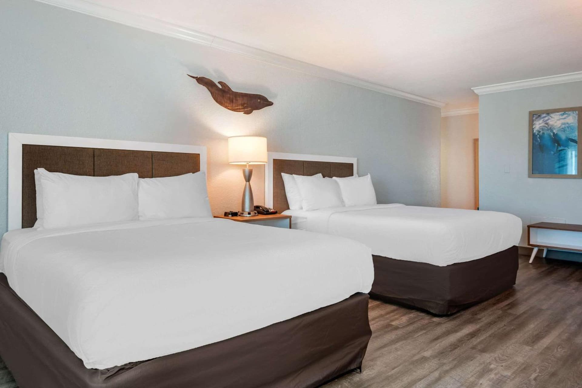 Dolphin Sands Clearwater Beach, an Ascend Collection Hotel gallery photo in Clearwater Beach, FL — image 38