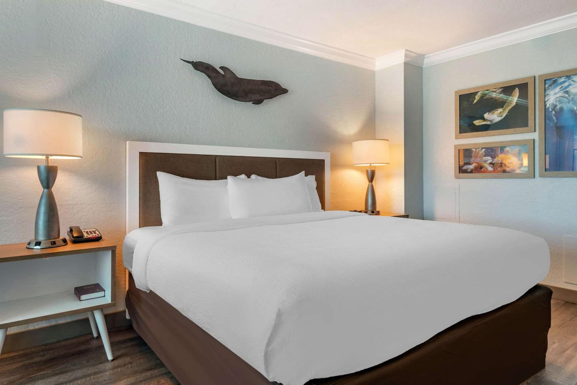 Dolphin Sands Clearwater Beach, an Ascend Collection Hotel gallery photo in Clearwater Beach, FL — image 43