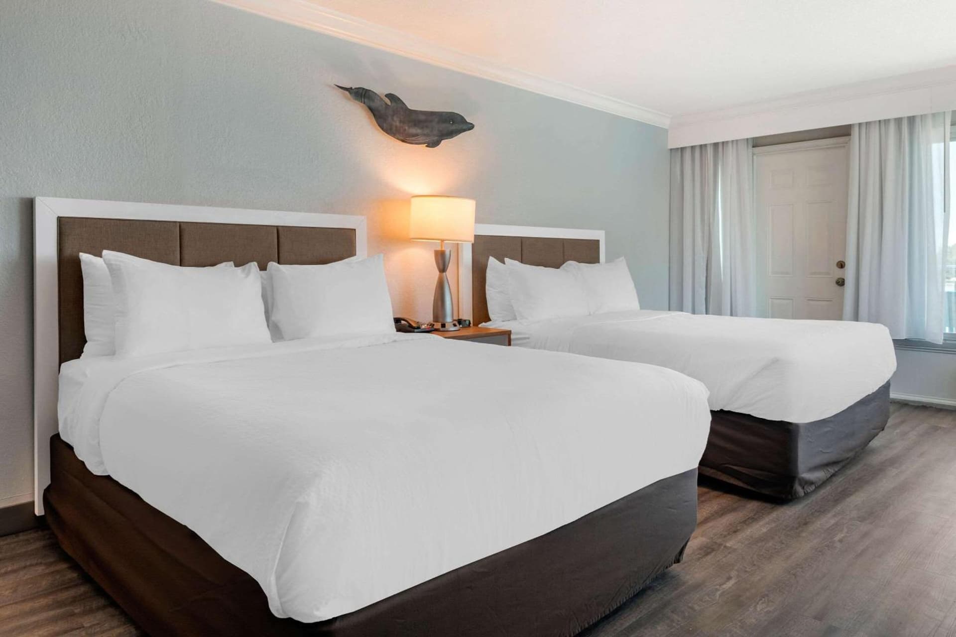 Dolphin Sands Clearwater Beach, an Ascend Collection Hotel gallery photo in Clearwater Beach, FL — image 79