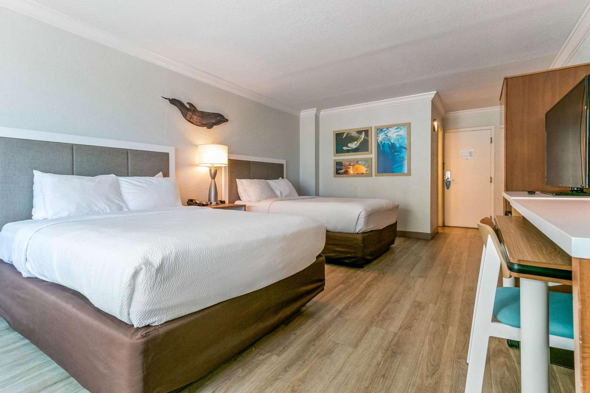 Dolphin Sands Clearwater Beach, an Ascend Collection Hotel gallery photo in Clearwater Beach, FL — image 8