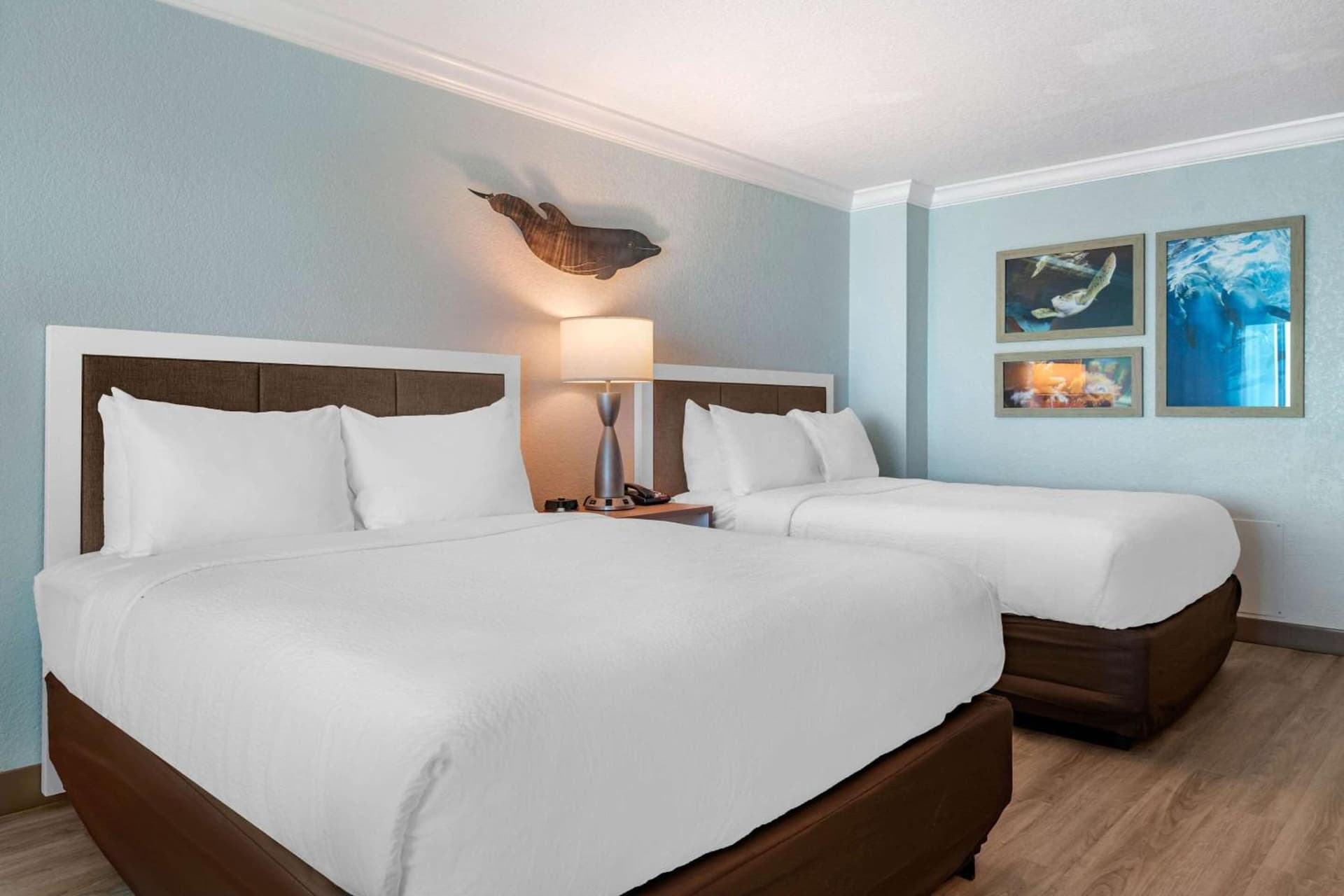 Dolphin Sands Clearwater Beach, an Ascend Collection Hotel gallery photo in Clearwater Beach, FL — image 16