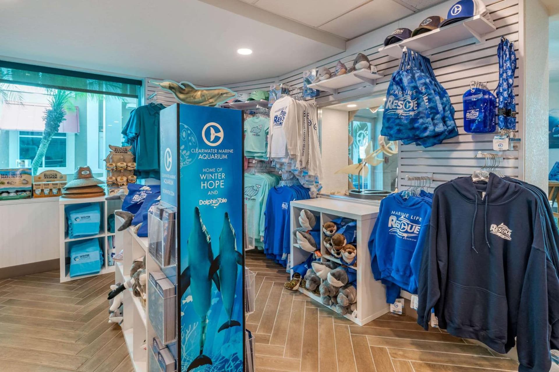 Dolphin Sands Clearwater Beach, an Ascend Collection Hotel gallery photo in Clearwater Beach, FL — image 4