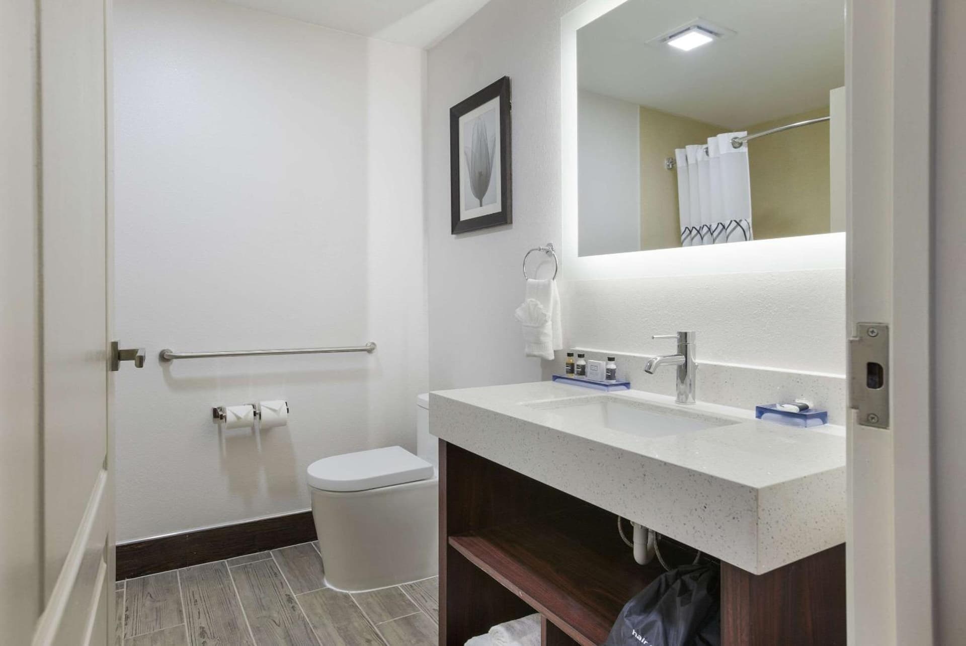 The Leo Collection Detroit, an Ascend Collection Hotel gallery photo in Lincoln Park, MI — image 23