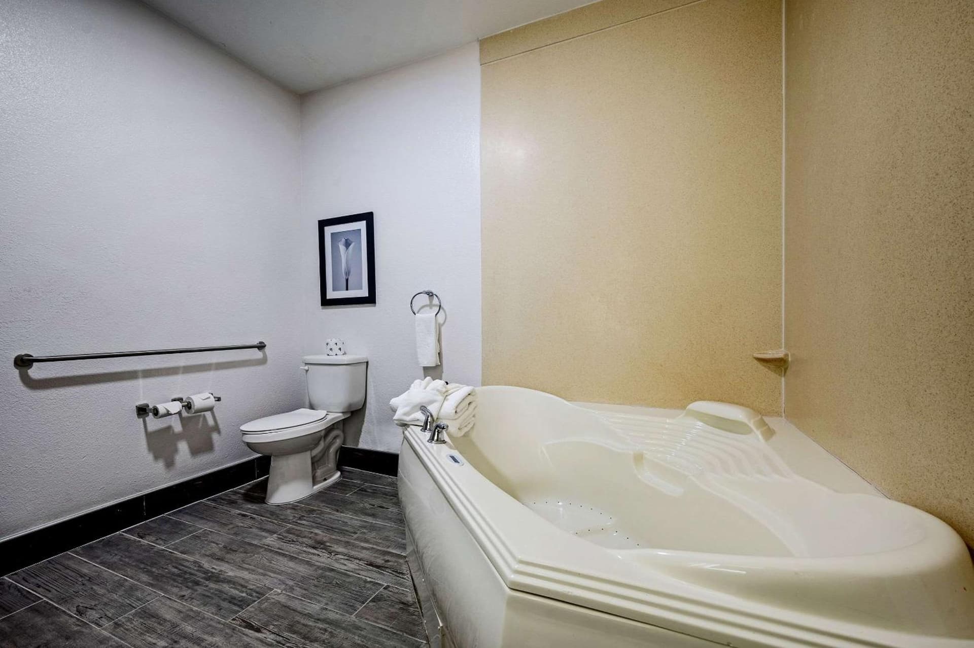 The Leo Collection Detroit, an Ascend Collection Hotel gallery photo in Lincoln Park, MI — image 4