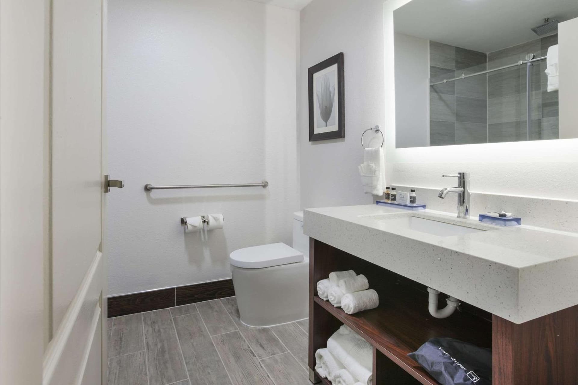 The Leo Collection Detroit, an Ascend Collection Hotel gallery photo in Lincoln Park, MI — image 58