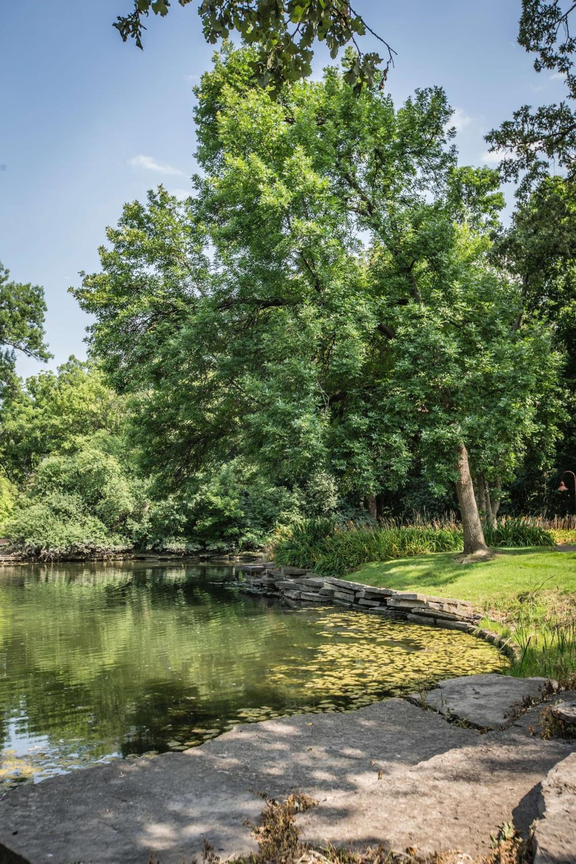 Hyatt Lodge Oak Brook Chicago gallery photo in Oak Brook, IL — image 40