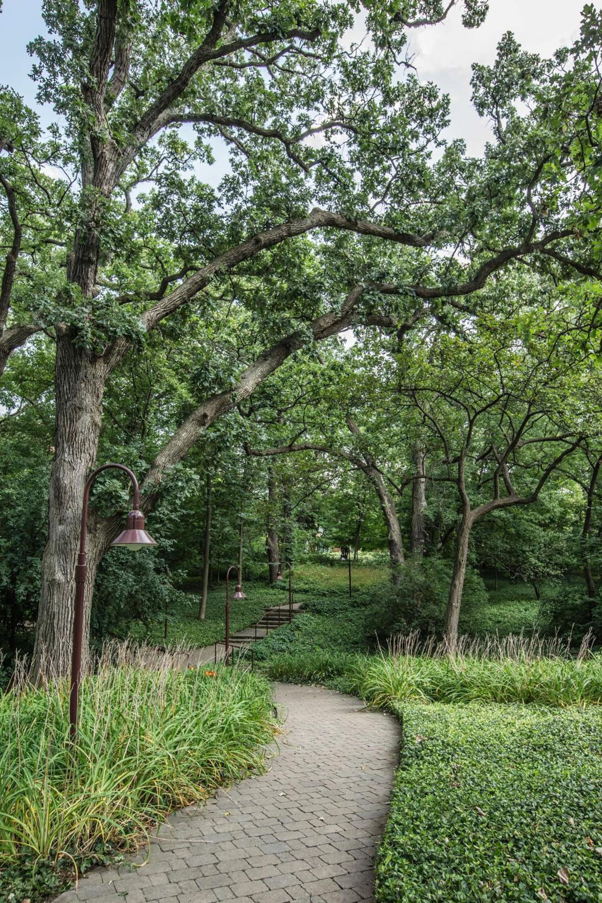 Hyatt Lodge Oak Brook Chicago gallery photo in Oak Brook, IL — image 50