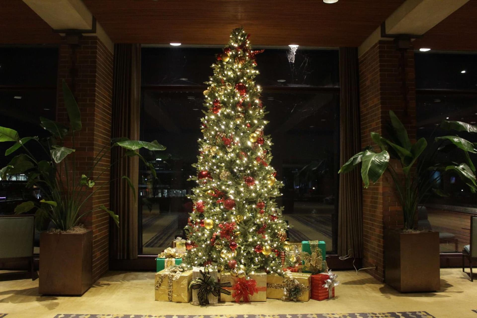 Hyatt Lodge Oak Brook Chicago gallery photo in Oak Brook, IL — image 96