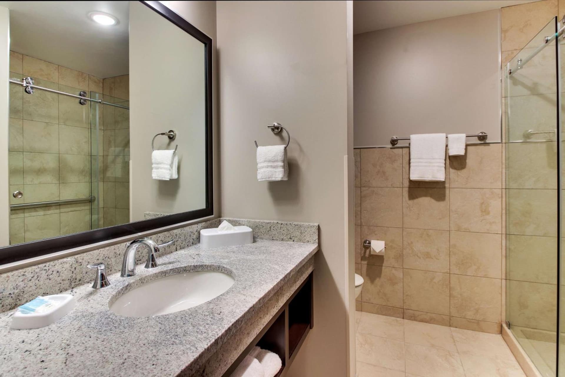 Drury Plaza Hotel Dallas Richardson gallery photo in Richardson, TX — image 42