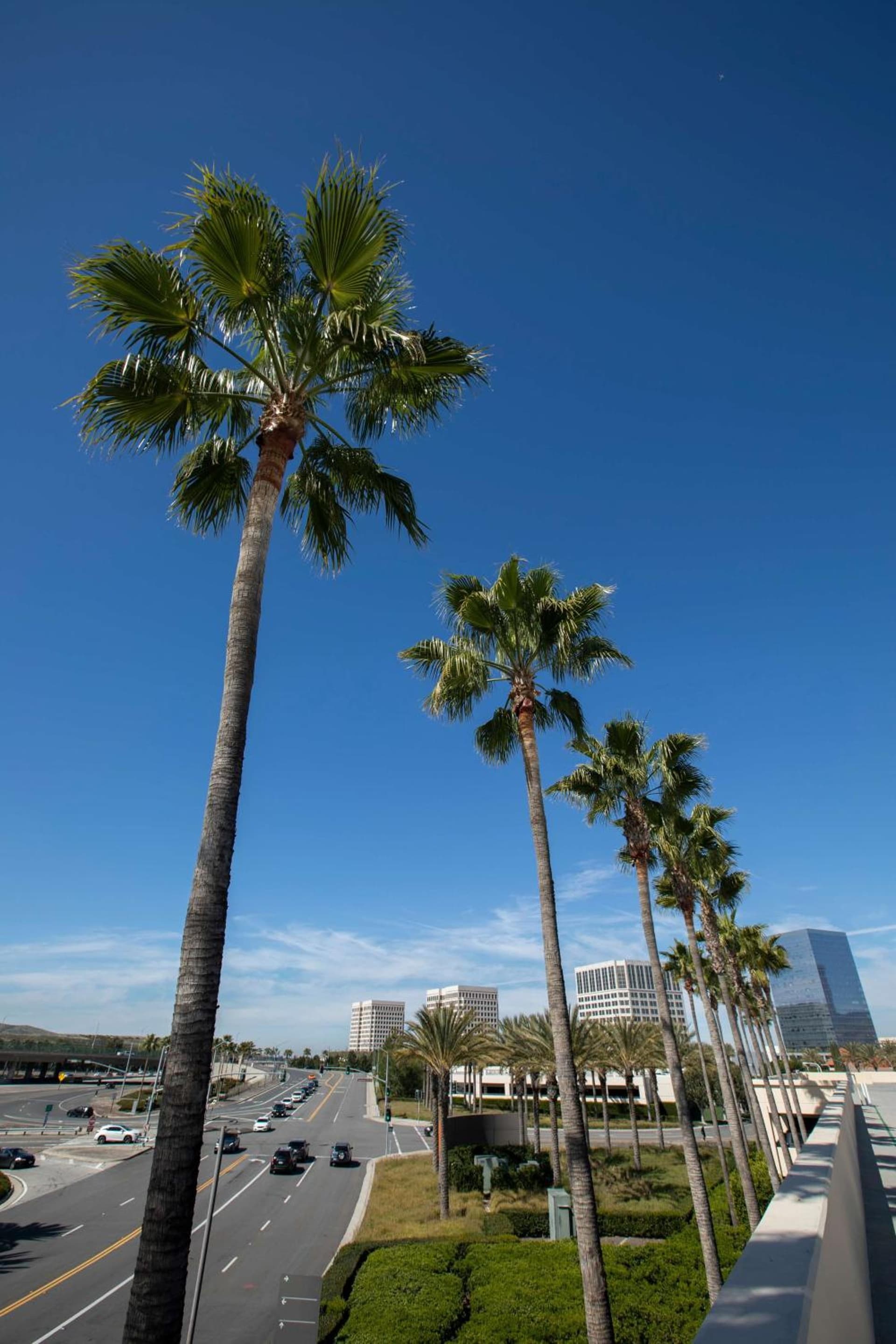 Hyatt Regency Irvine gallery photo in Irvine, CA — image 8