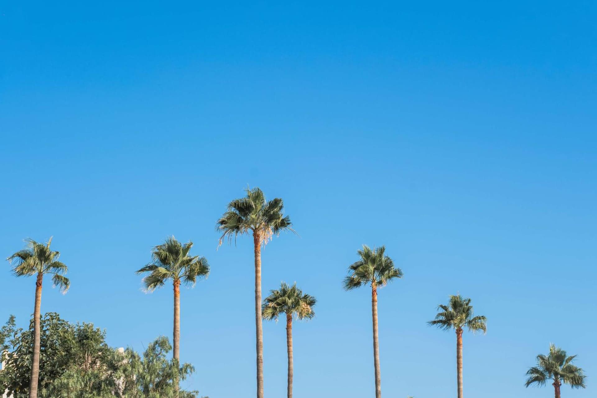 Hyatt Regency Irvine gallery photo in Irvine, CA — image 74