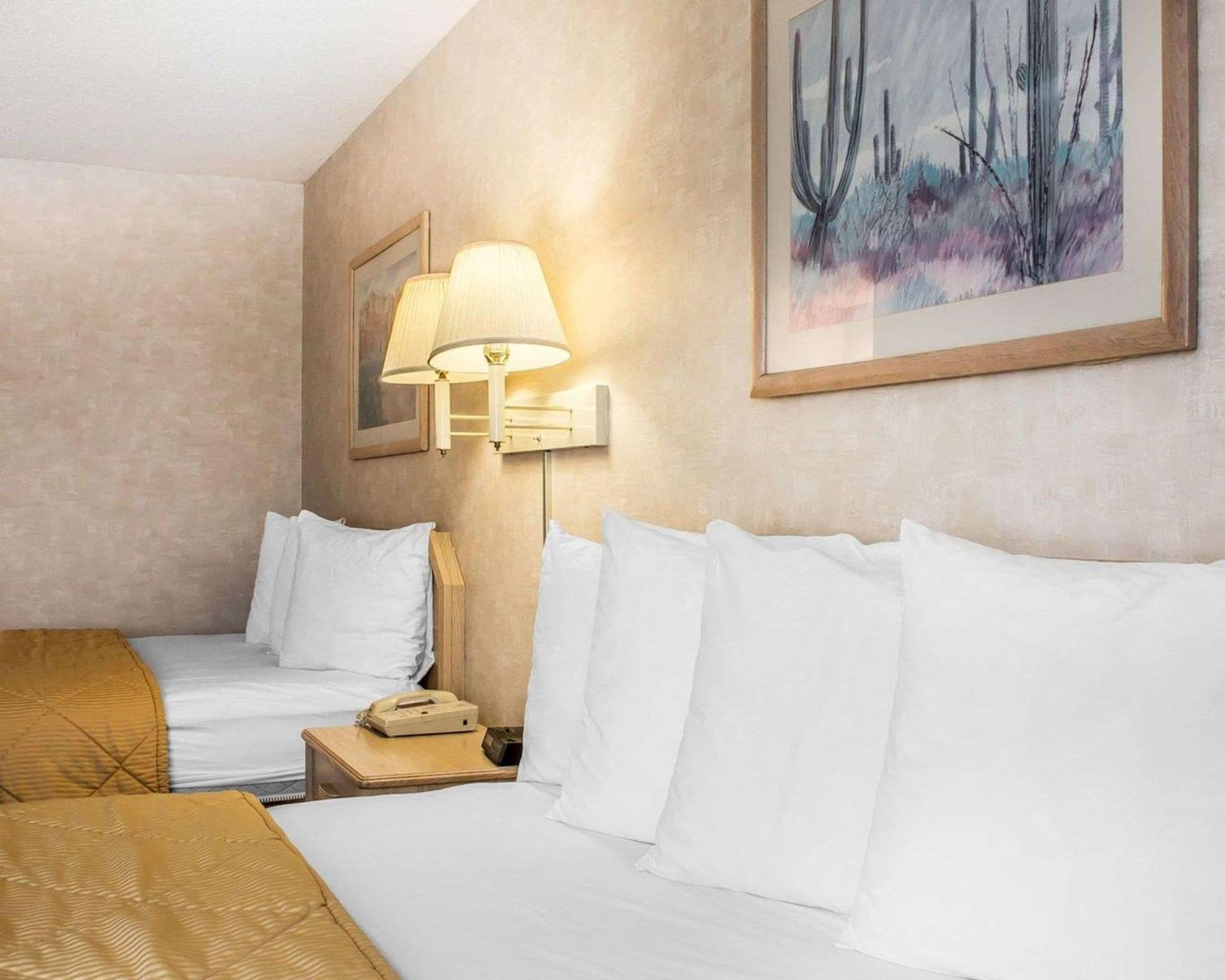 Quality Inn & Suites Yuma gallery photo in Yuma, AZ — image 34