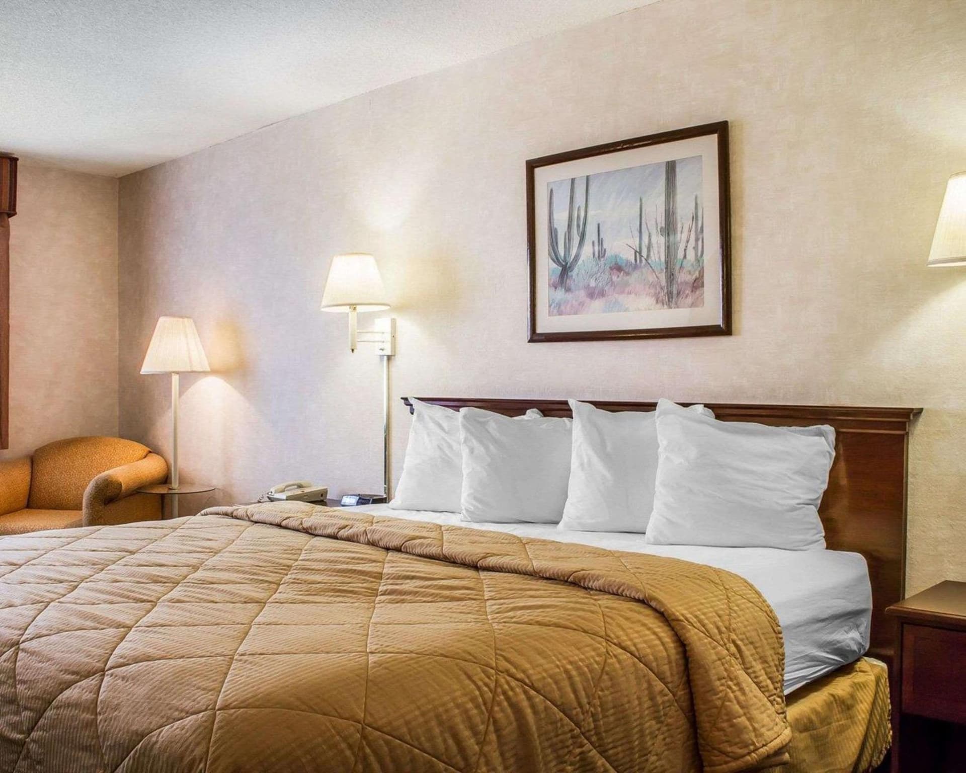 Quality Inn & Suites Yuma gallery photo in Yuma, AZ — image 33