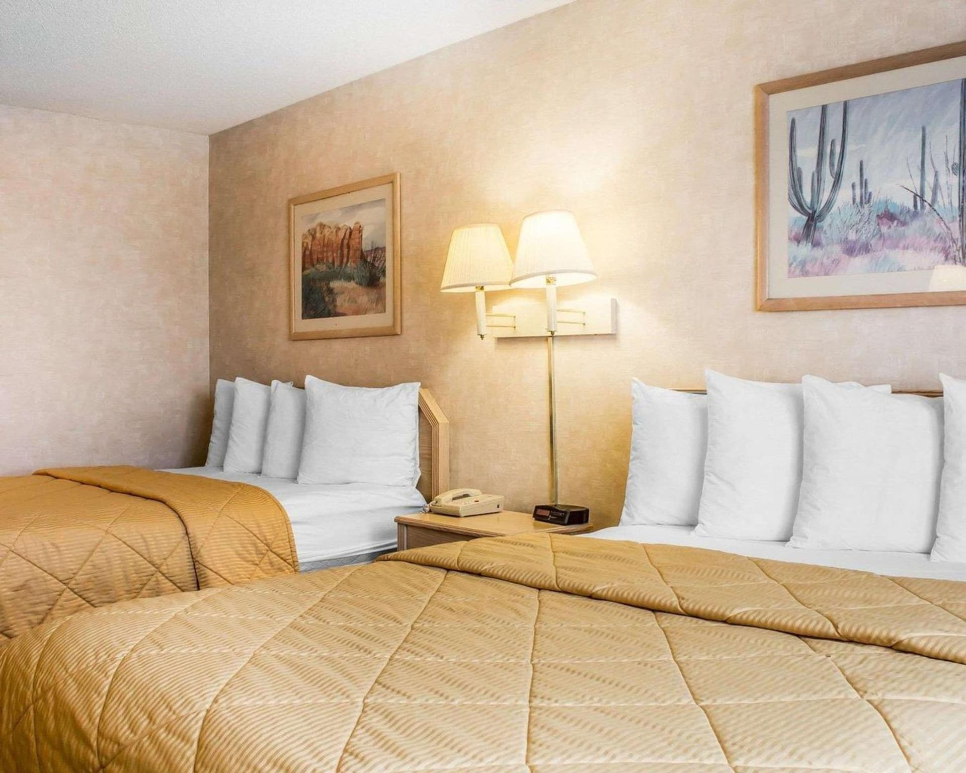 Quality Inn & Suites Yuma gallery photo in Yuma, AZ — image 28