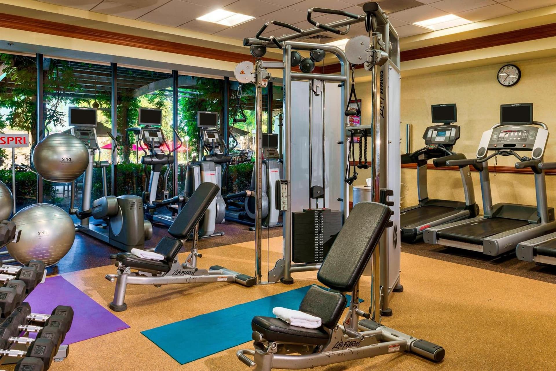 Sacramento Marriott Rancho Cordova - Newly Renovated gallery photo in Rancho Cordova, CA — image 32