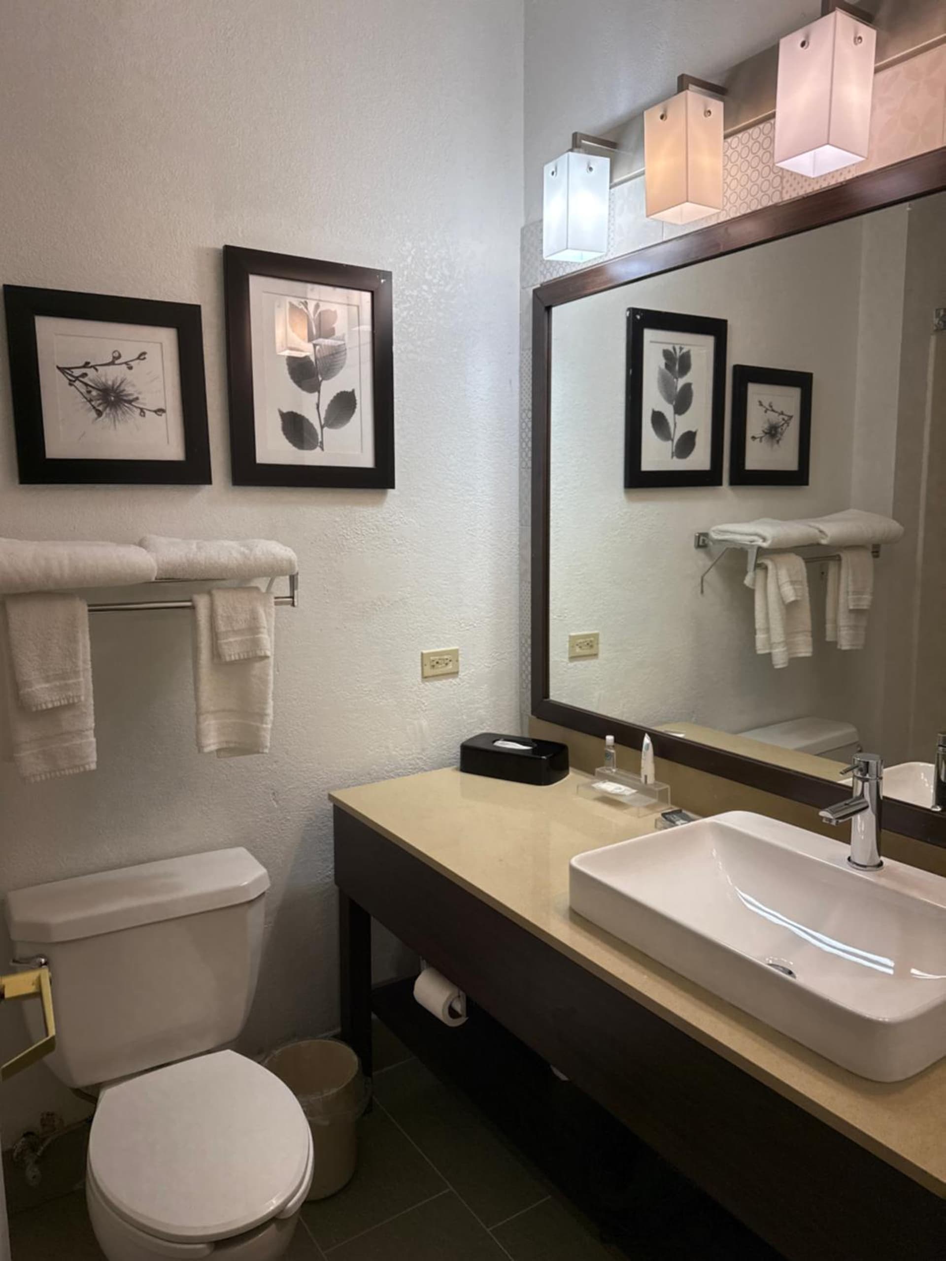 Country Inn & Suites by Radisson, Elgin, IL gallery photo in Elgin, IL — image 10