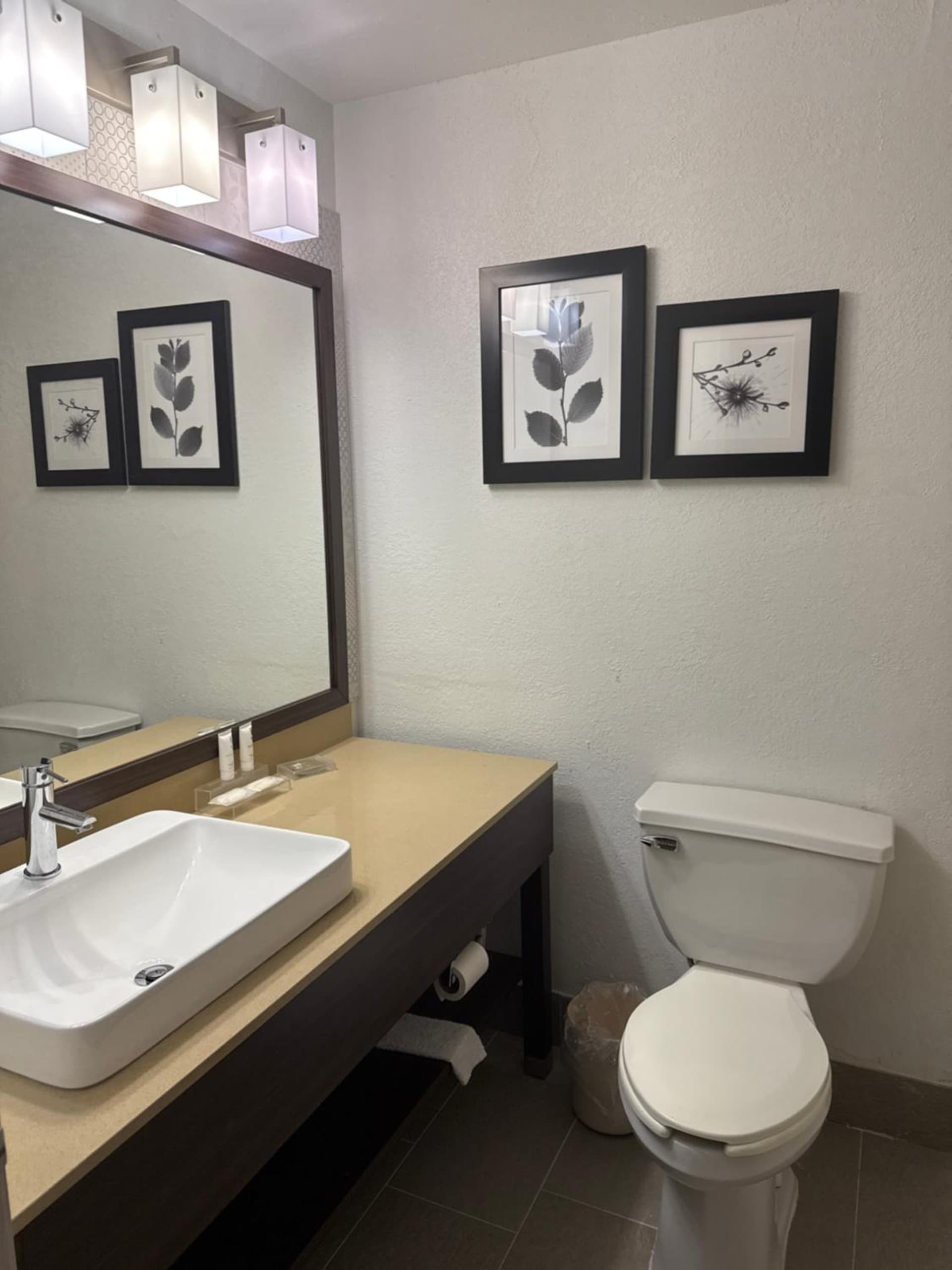 Country Inn & Suites by Radisson, Elgin, IL gallery photo in Elgin, IL — image 9