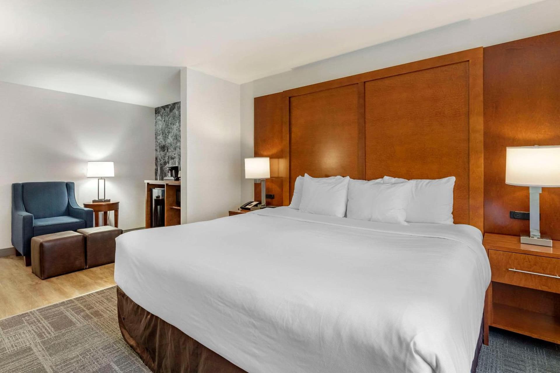 Comfort Suites Golden West on Evergreen Parkway gallery photo in Evergreen, CO — image 30