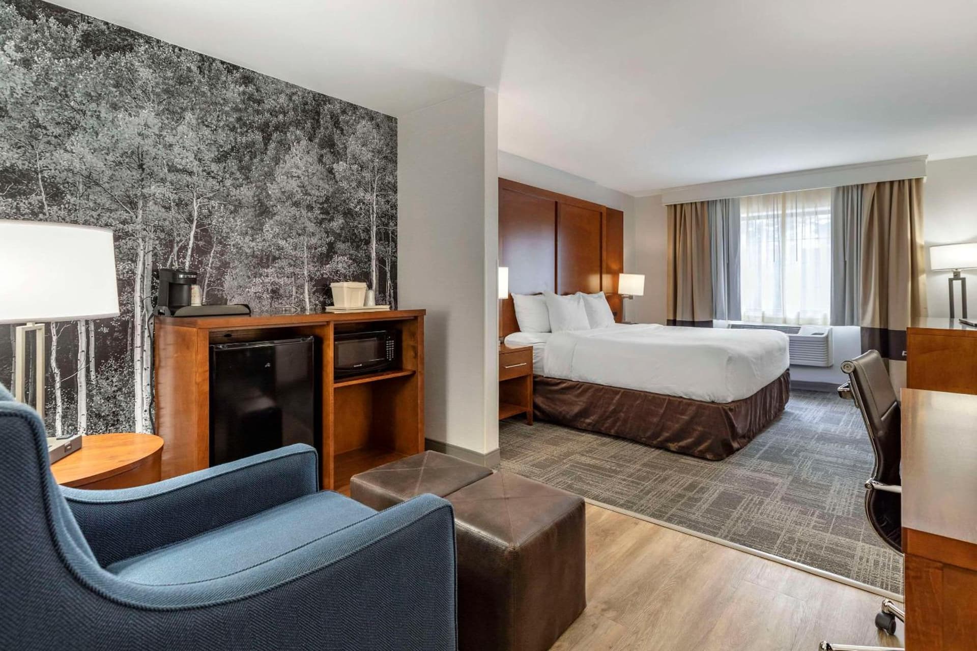 Comfort Suites Golden West on Evergreen Parkway interior in Evergreen, CO — gallery photo 2
