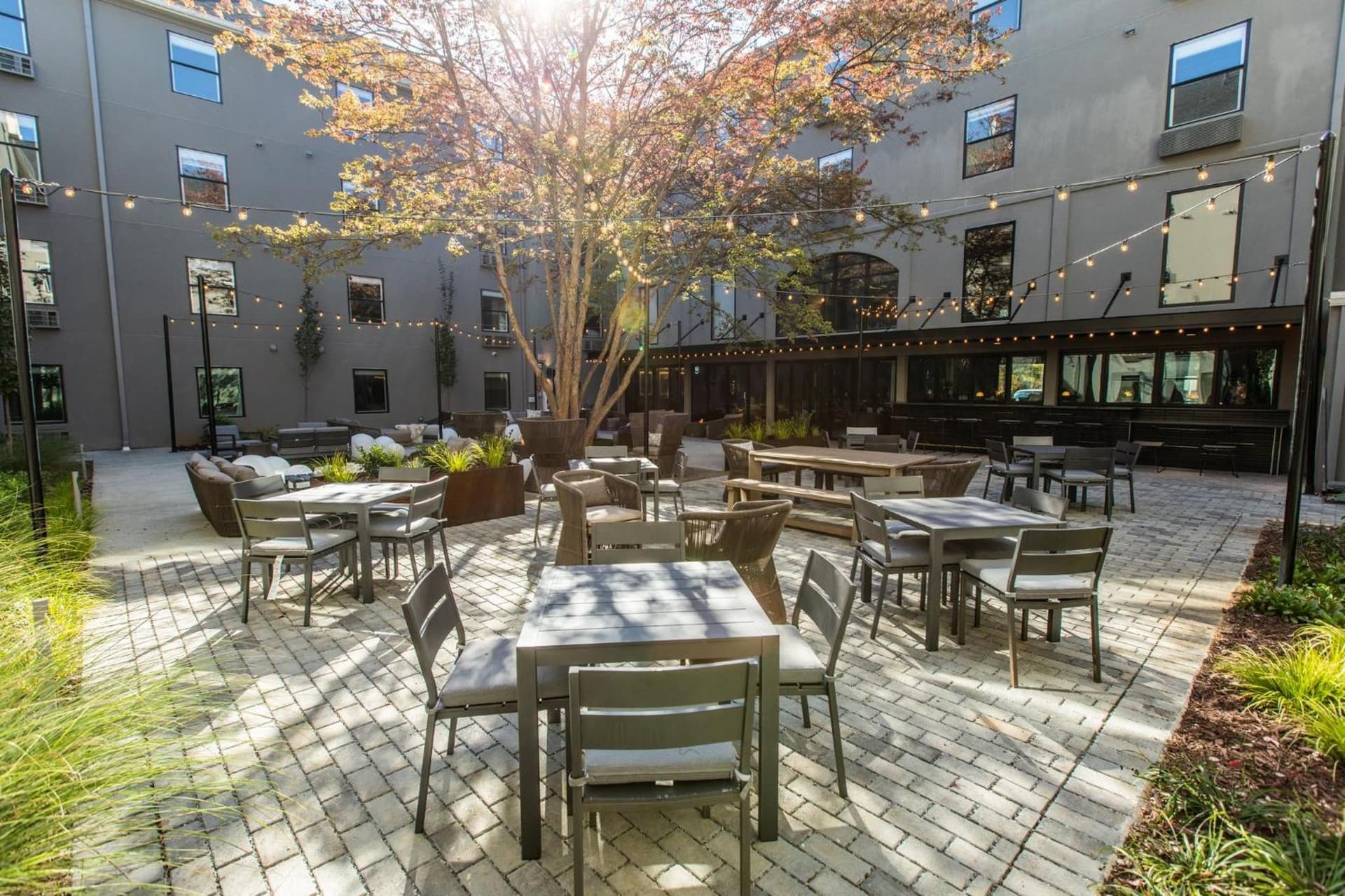 voco The Darwin Atlanta Midtown by IHG gallery photo in Atlanta, GA — image 40