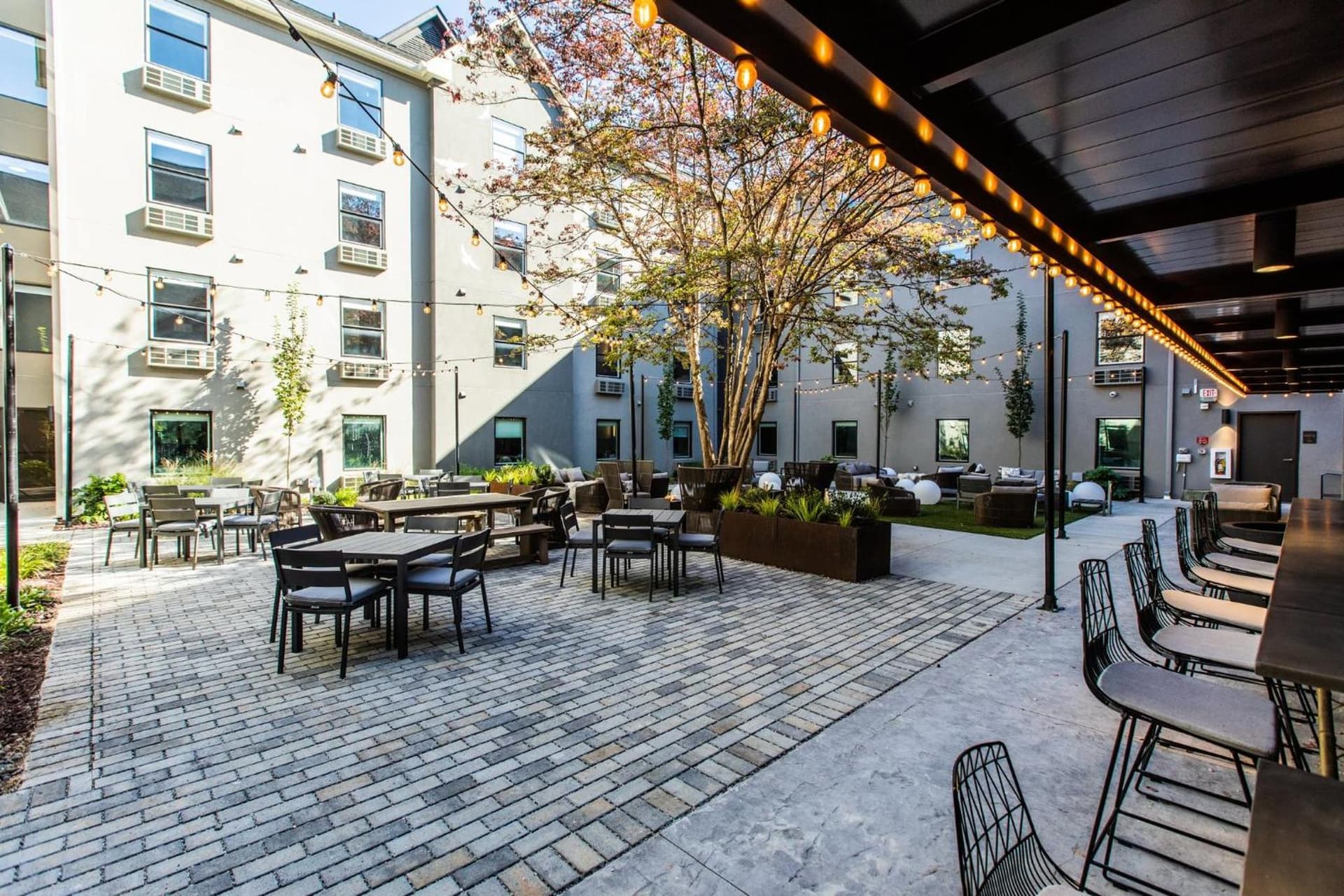 voco The Darwin Atlanta Midtown by IHG gallery photo in Atlanta, GA — image 52