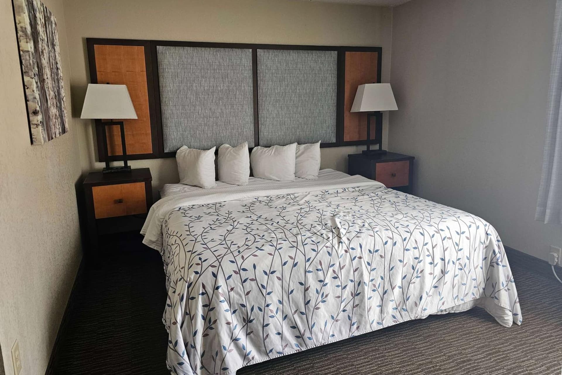 Americinn by Wyndham Birch Run - Frankenmuth gallery photo in Birch Run, MI — image 20