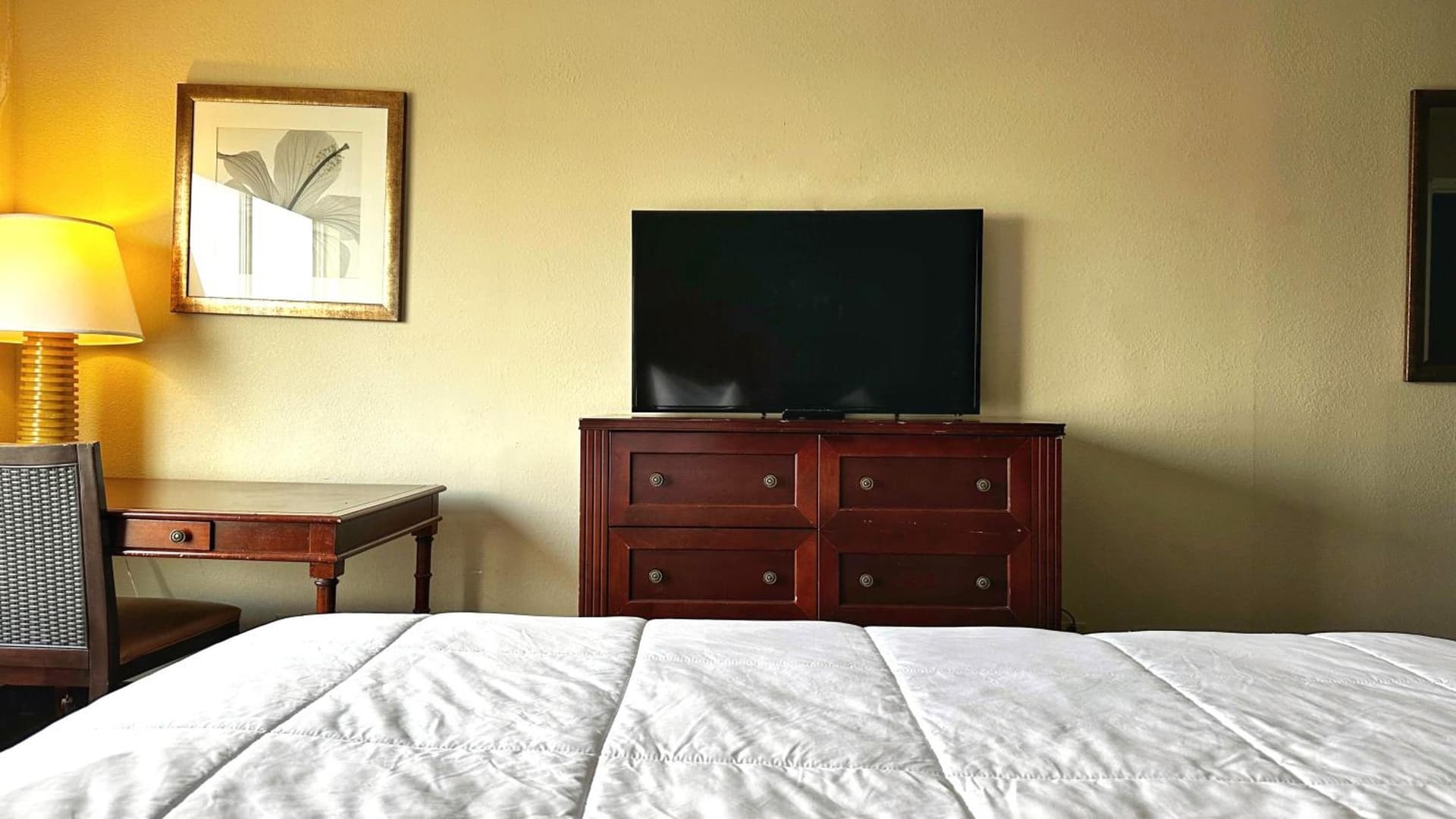 Baymont Inn and Suites by Wyndham Columbus / Near OSU property views in Columbus, OH — gallery photo 3
