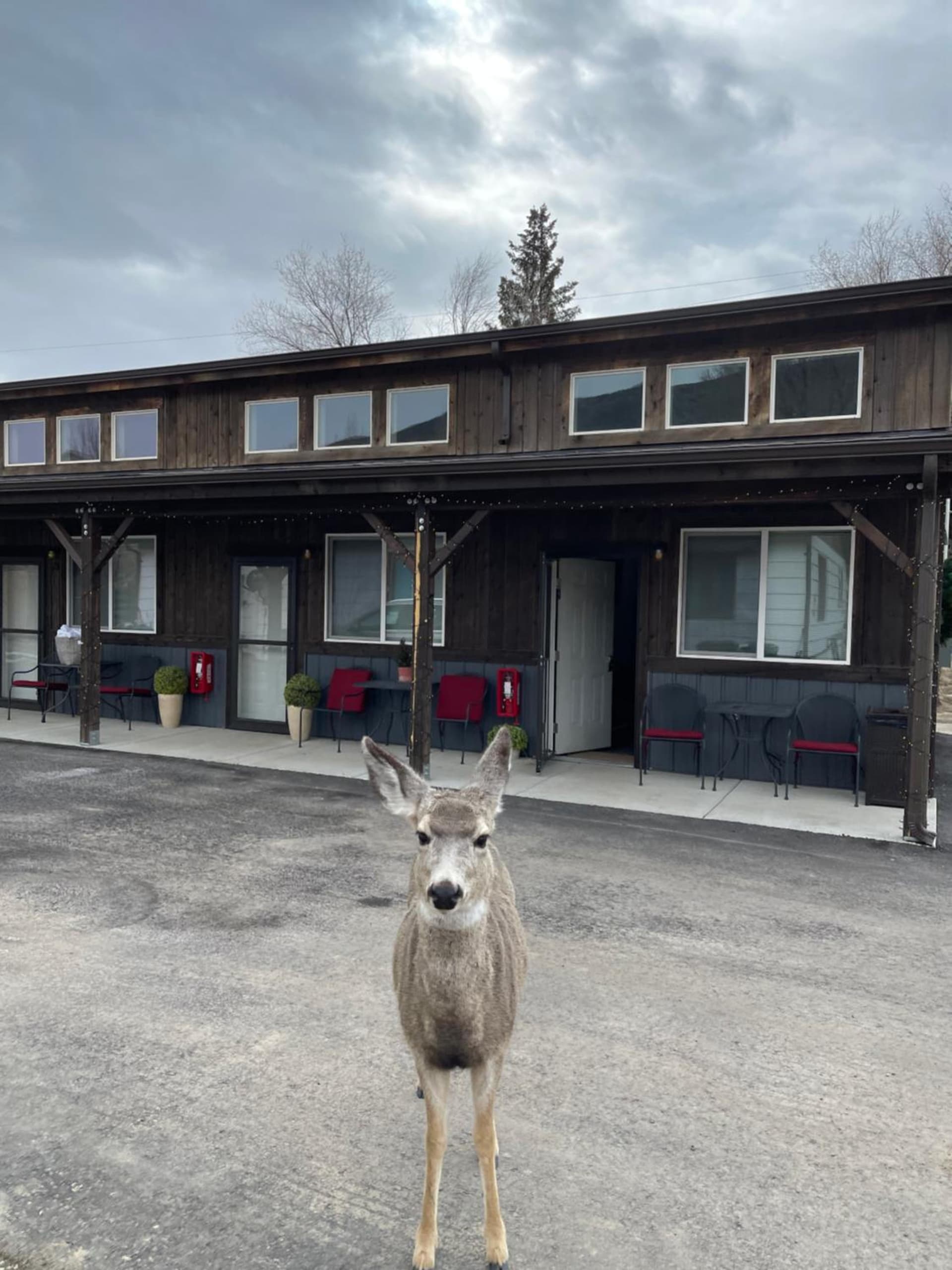 Corral Villas Yellowstone featured exterior or lobby in Gardiner, MT — similar hotel