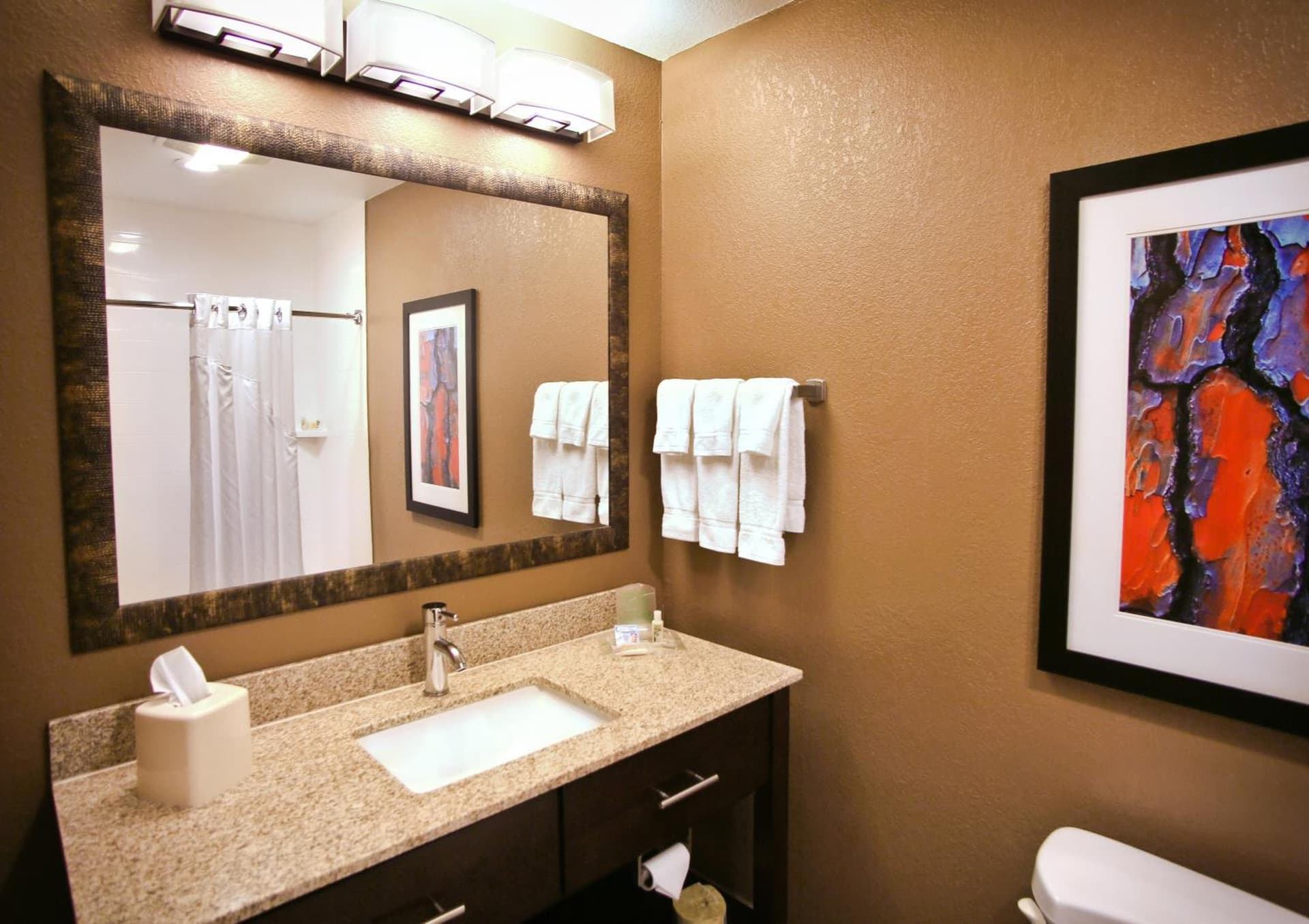 Holiday Inn & Suites Downtown La Crosse, an IHG Hotel gallery photo in La Crosse, WI — image 18