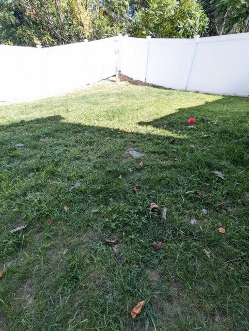 New House fenced inn yard Pet and family friendly gallery photo in Worcester, MA — image 46