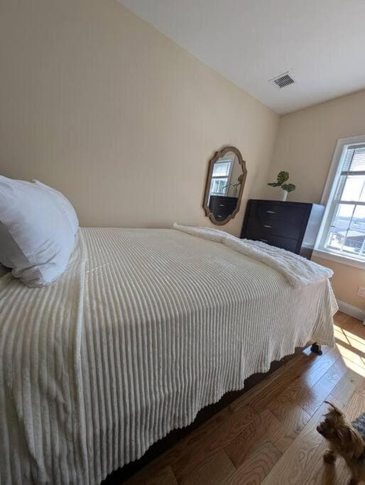 New House fenced inn yard Pet and family friendly gallery photo in Worcester, MA — image 19
