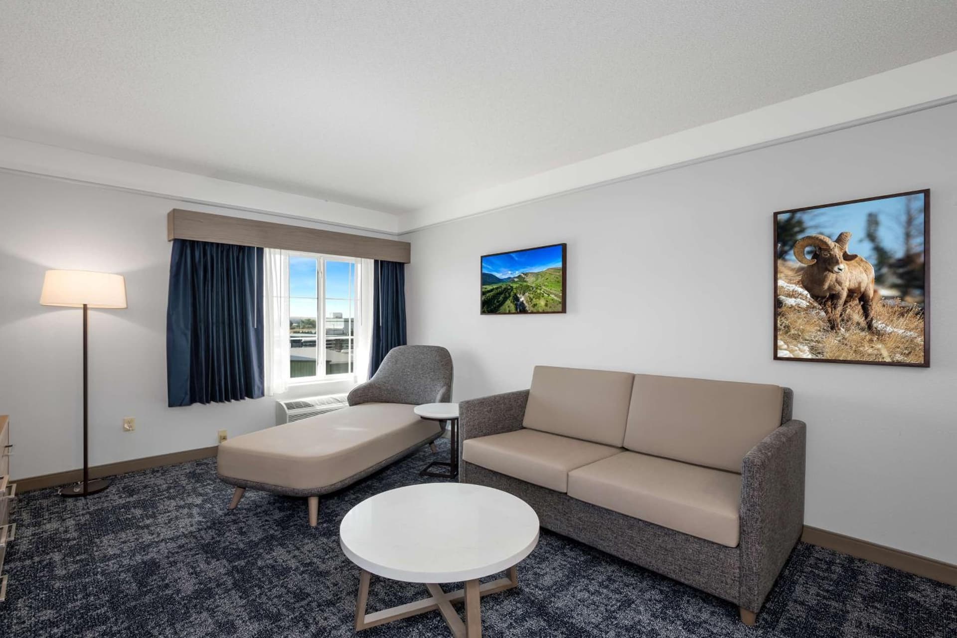 SureStay Plus Hotel by Best Western Billings gallery photo in Billings, MT — image 46