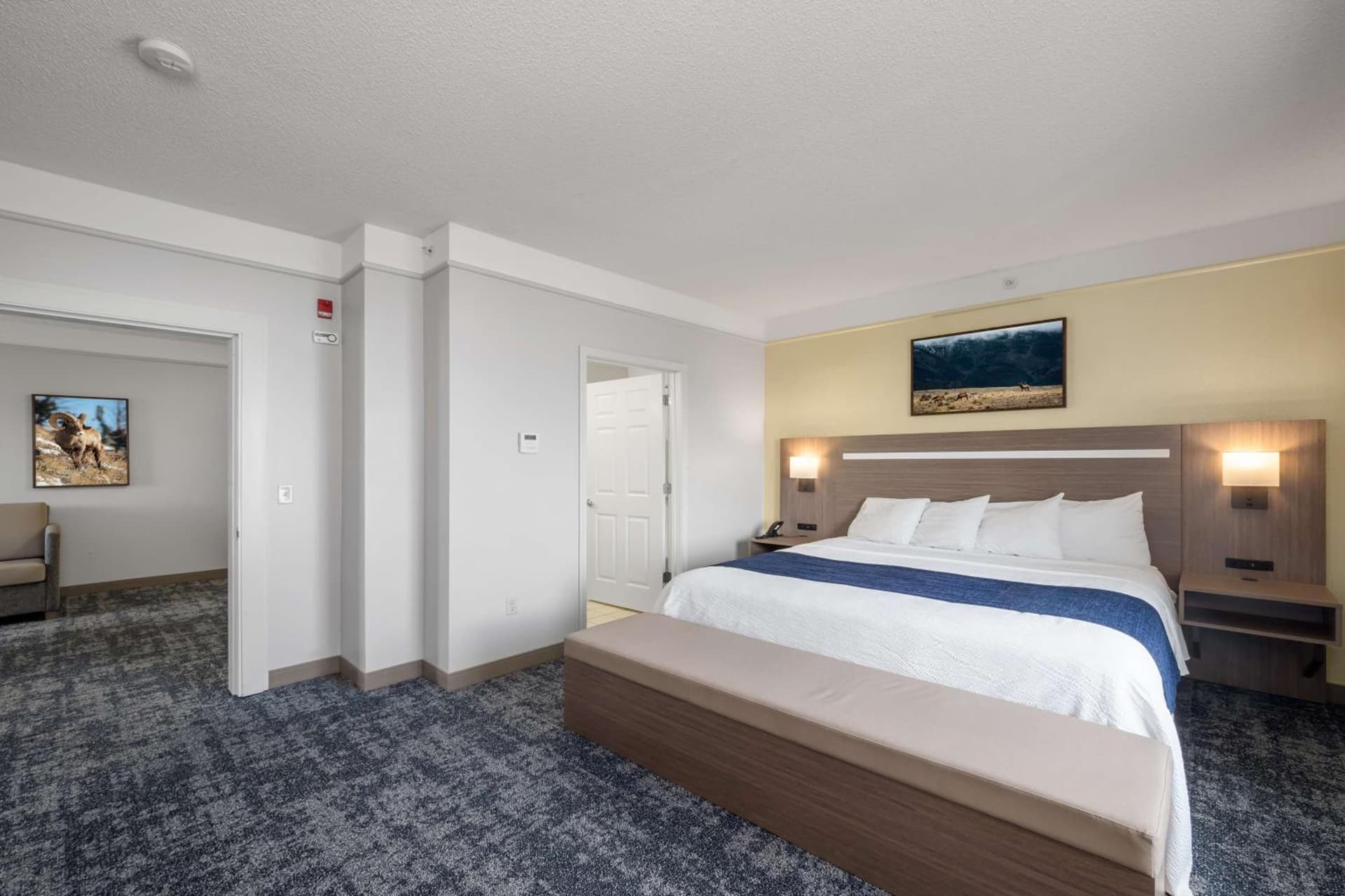 SureStay Plus Hotel by Best Western Billings gallery photo in Billings, MT — image 107