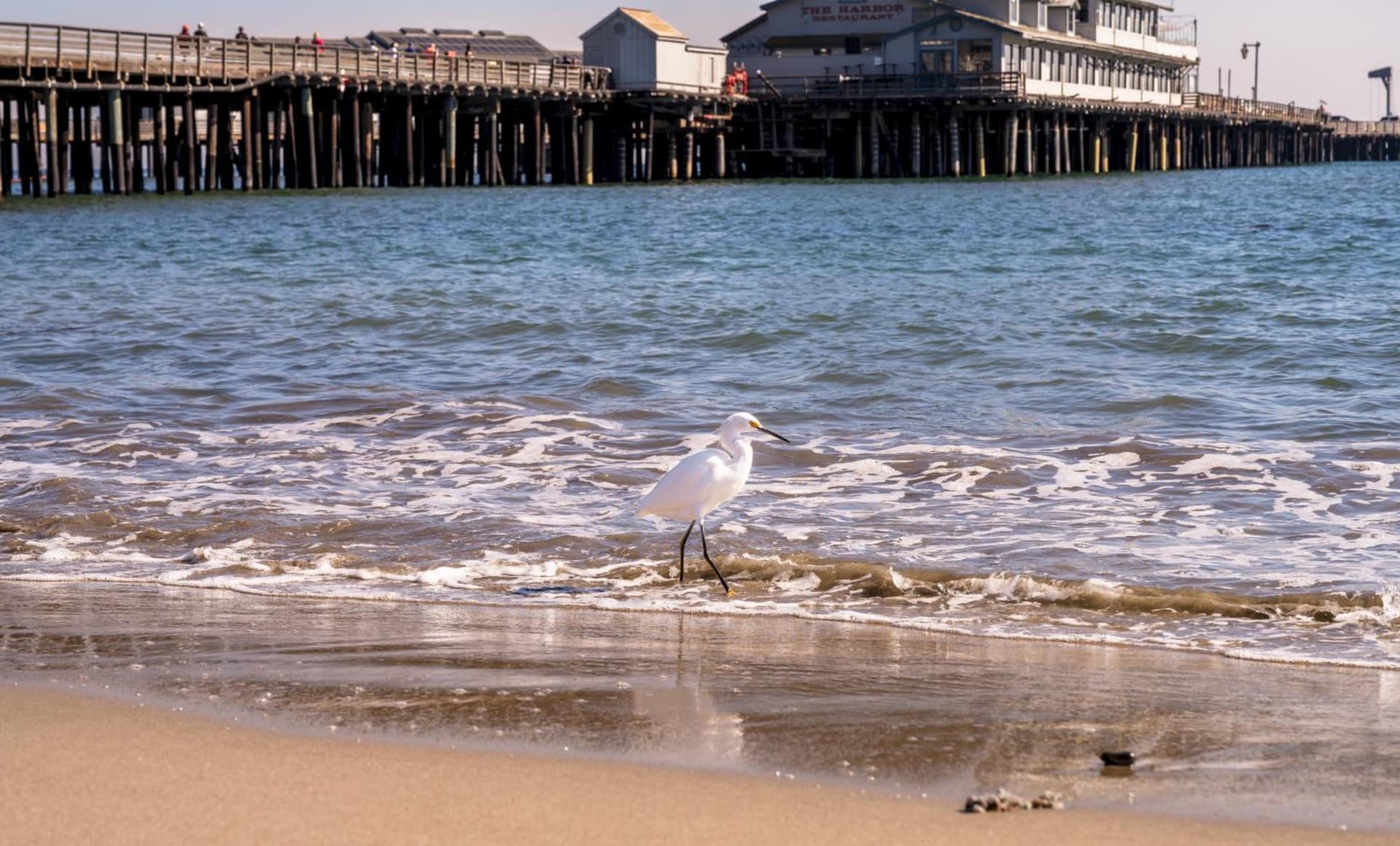 The Eagle Inn gallery photo in Santa Barbara, CA — image 118