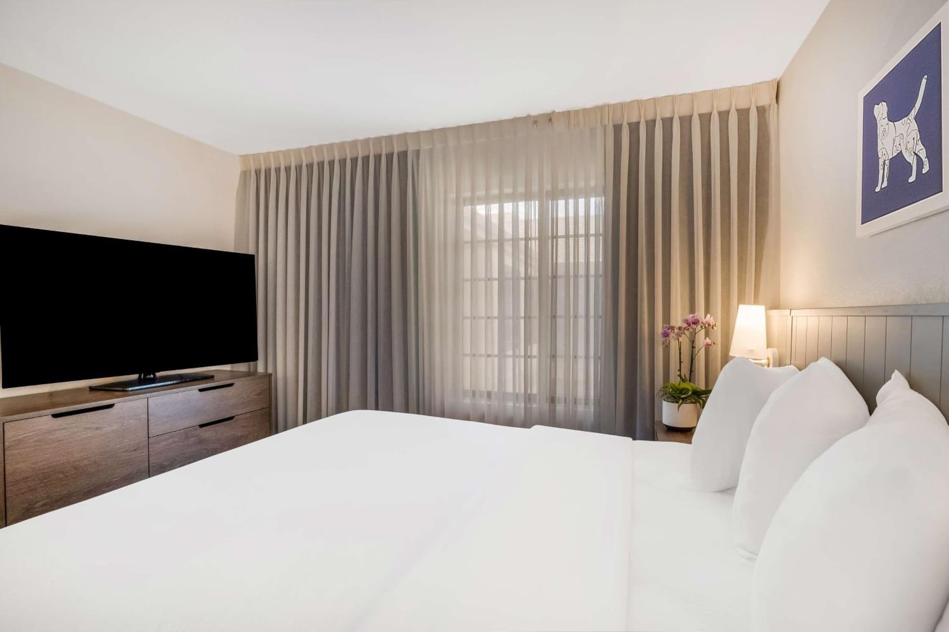 Sonesta ES Suites San Jose - Airport gallery photo in San Jose, CA — image 9