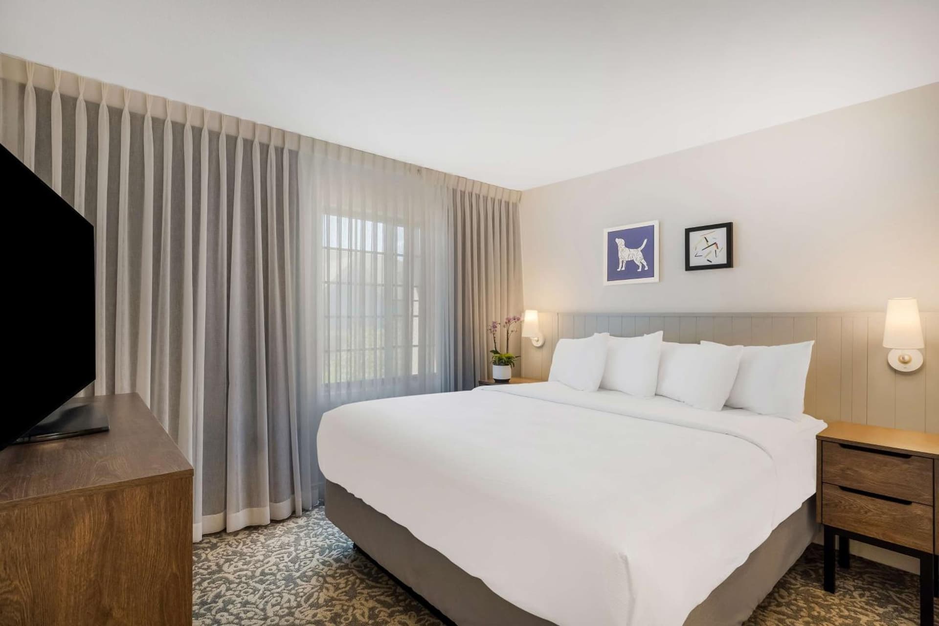 Sonesta ES Suites San Jose - Airport gallery photo in San Jose, CA — image 10