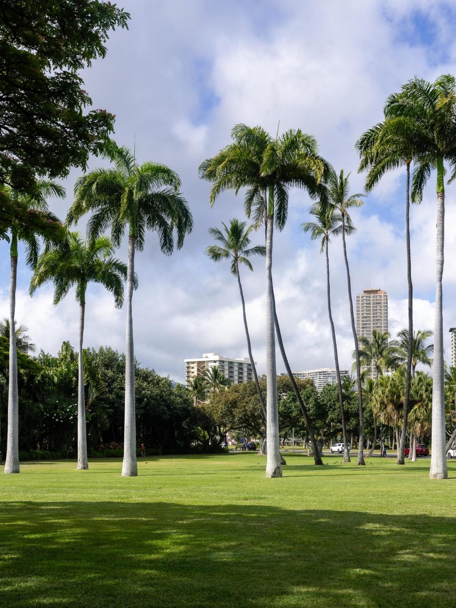Luana Waikiki Hotel & Suites gallery photo in Honolulu, HI — image 156