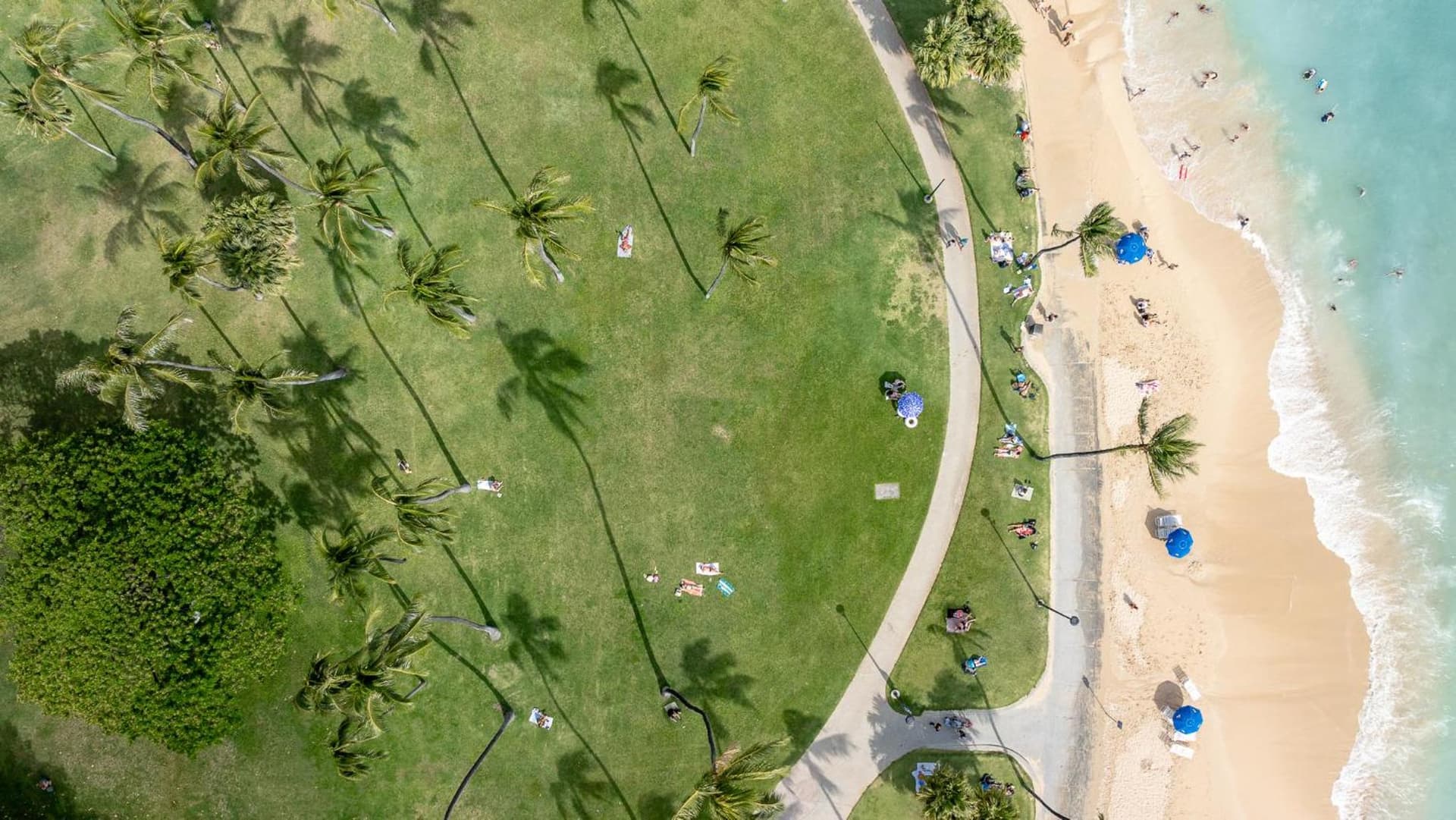Luana Waikiki Hotel & Suites gallery photo in Honolulu, HI — image 124