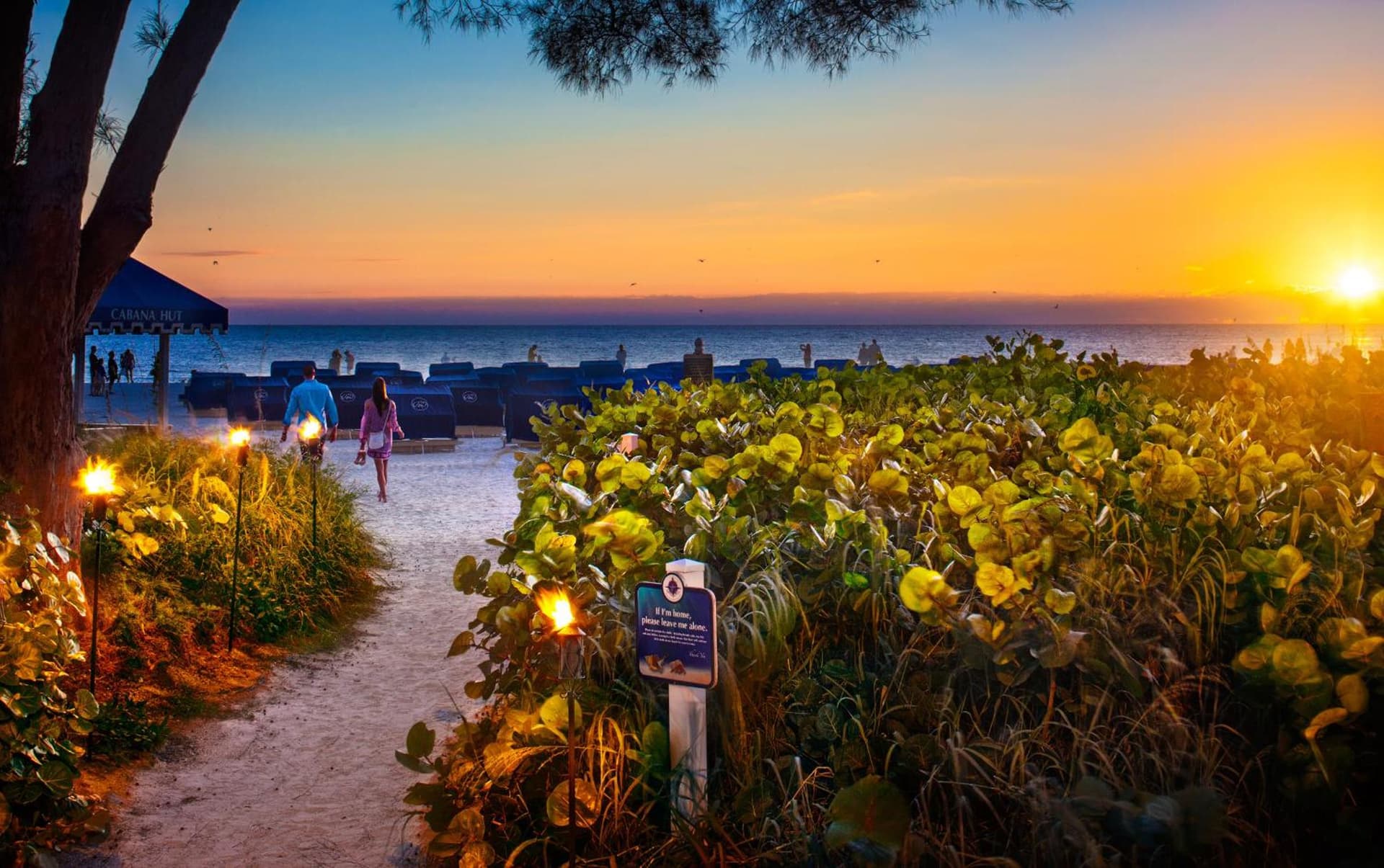 RumFish Beach at TradeWinds gallery photo in St Pete Beach, FL — image 50