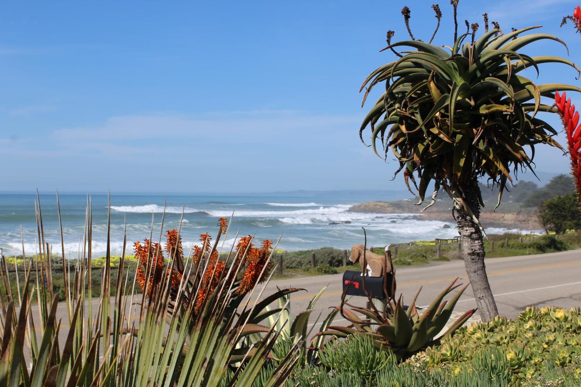 Cambria Shores Inn gallery photo in Cambria, CA — image 54