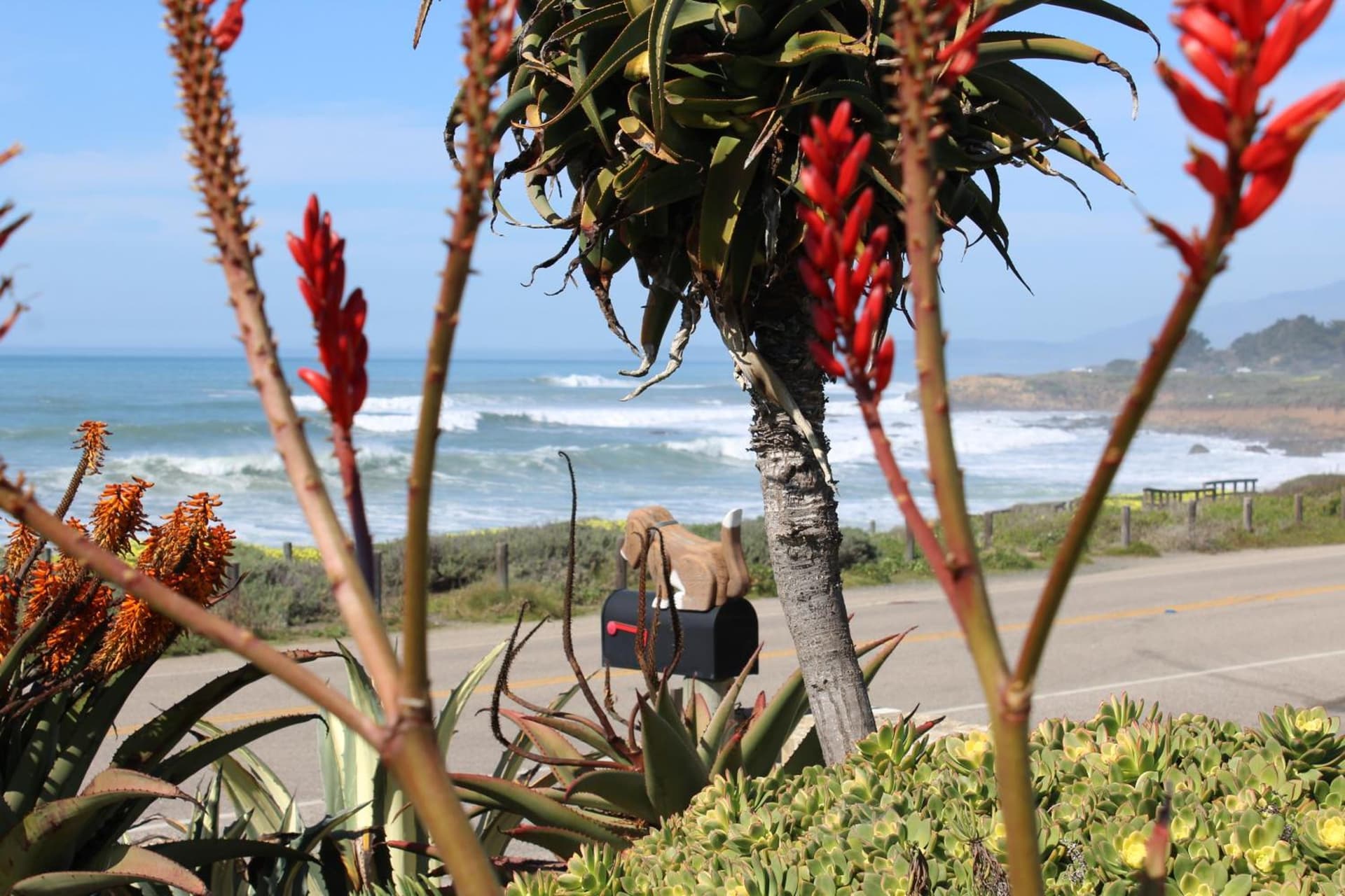 Cambria Shores Inn gallery photo in Cambria, CA — image 10