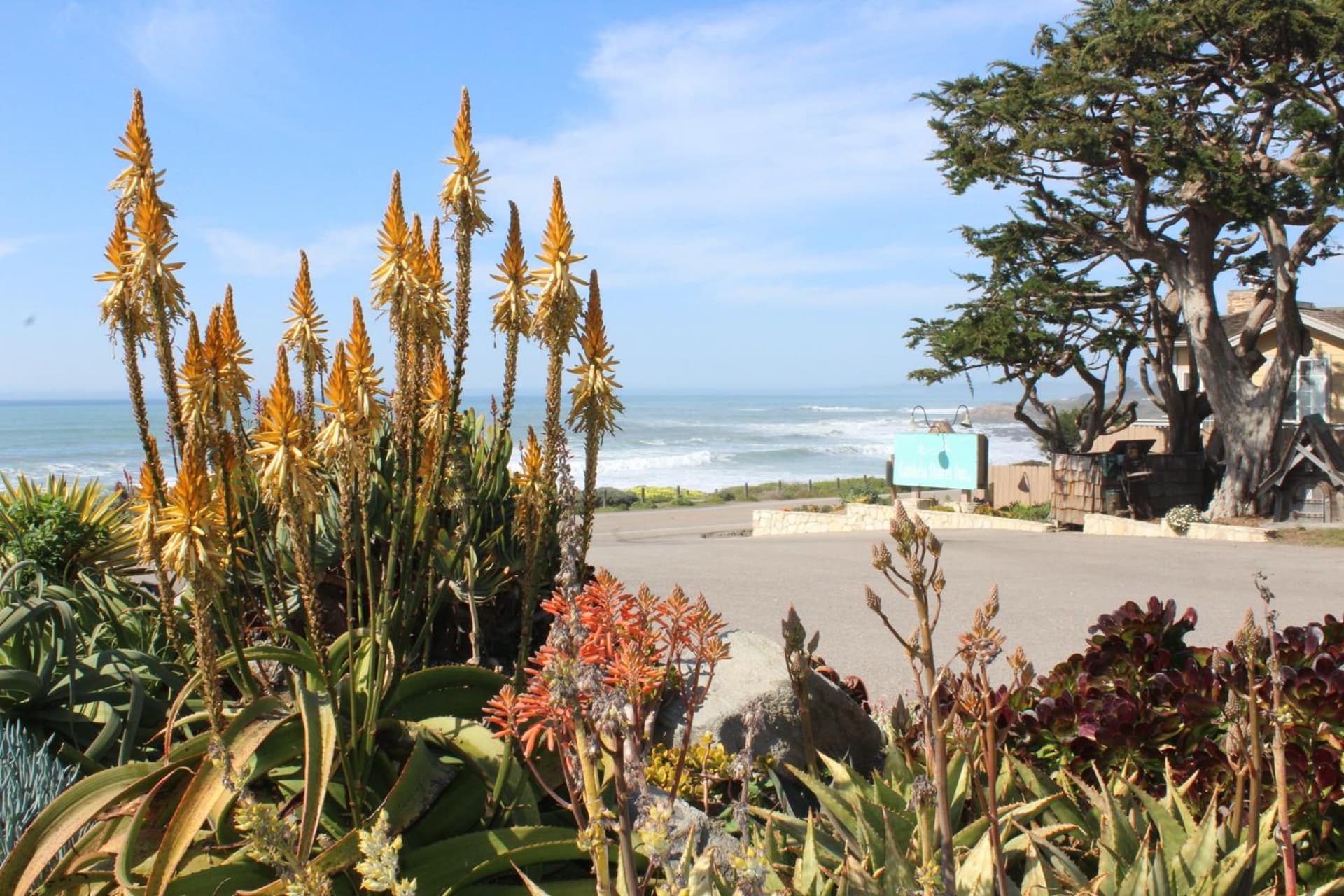 Cambria Shores Inn gallery photo in Cambria, CA — image 6