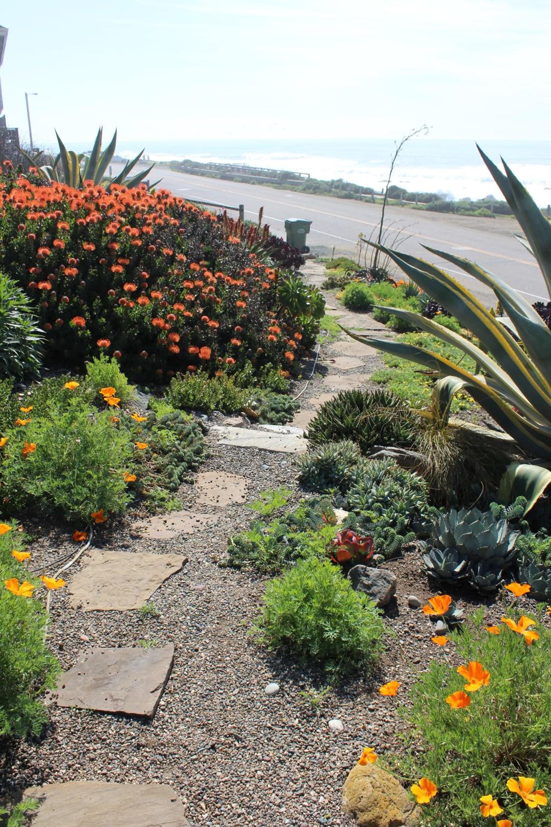 Cambria Shores Inn gallery photo in Cambria, CA — image 52