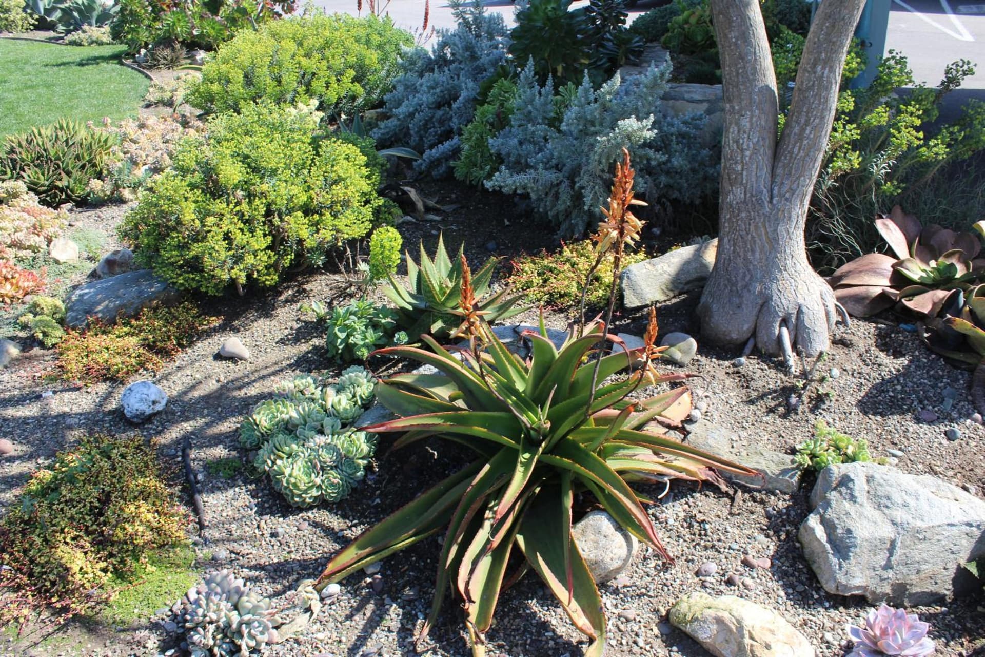 Cambria Shores Inn gallery photo in Cambria, CA — image 5