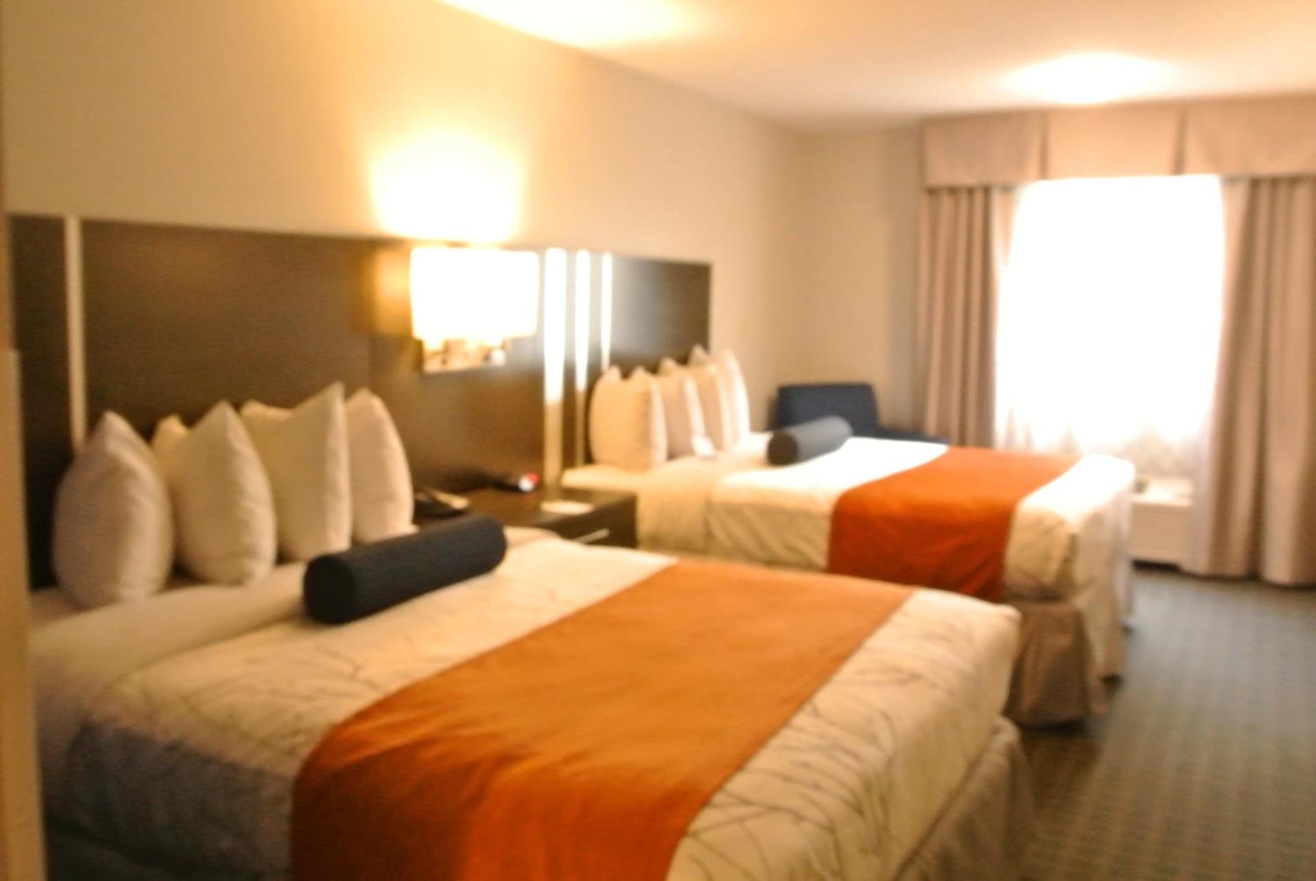 Guesthouse Inn & Suites Lexington gallery photo in Lexington, KY — image 50