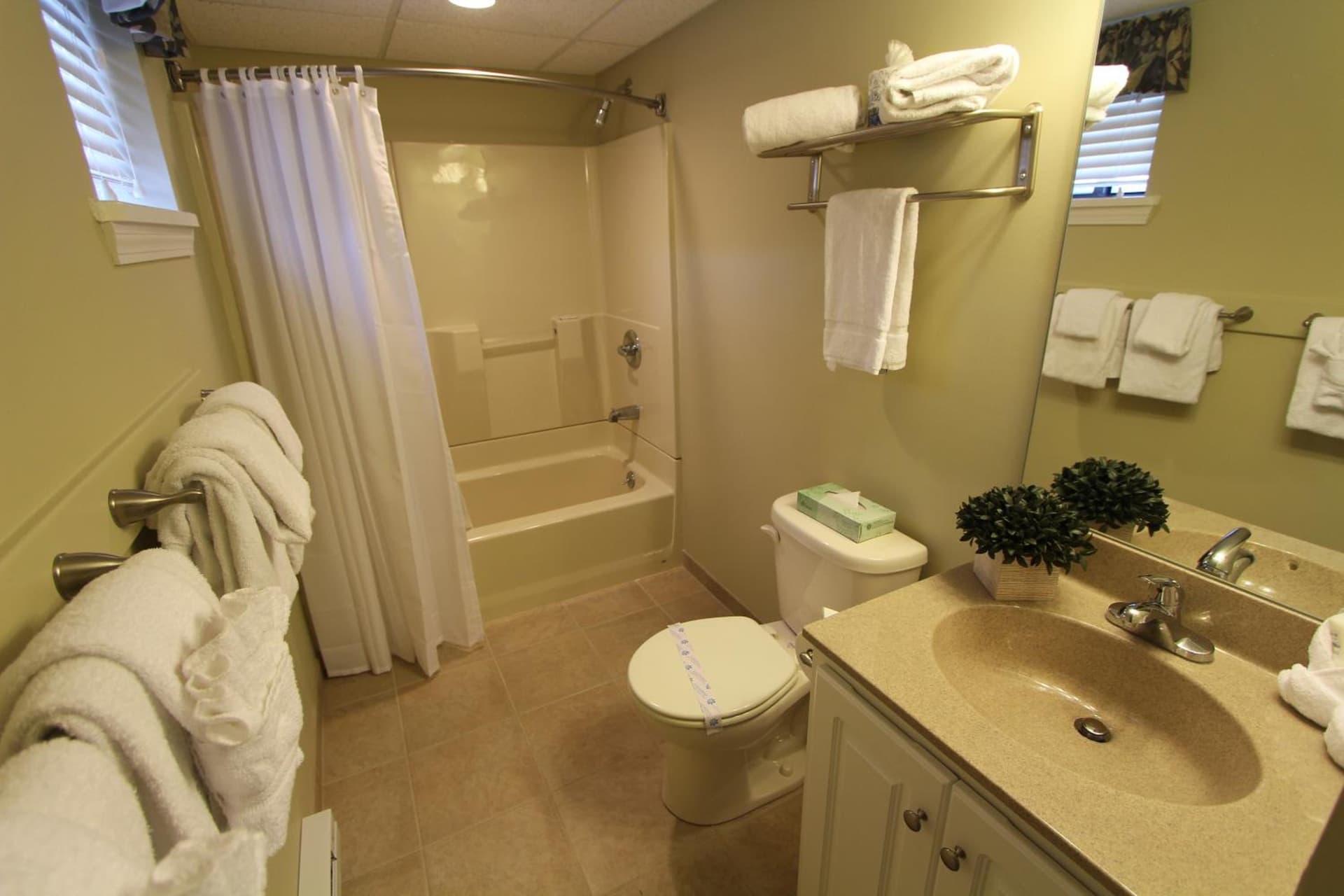Tanglwood Resort gallery photo in Tafton, PA — image 11